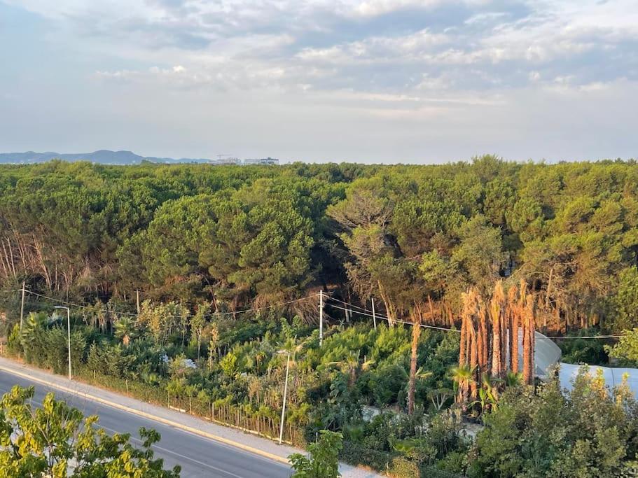 Relax apartment, Side Sea View, Golem, Albania