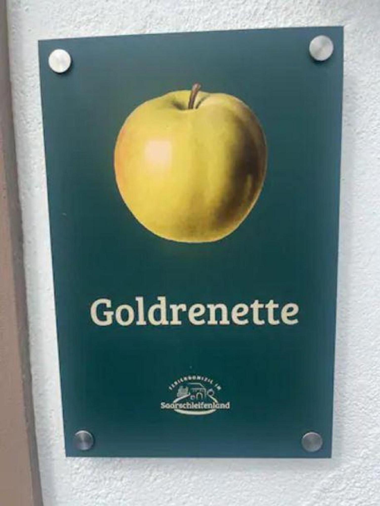 Feriendomizil im Saarschleifenland