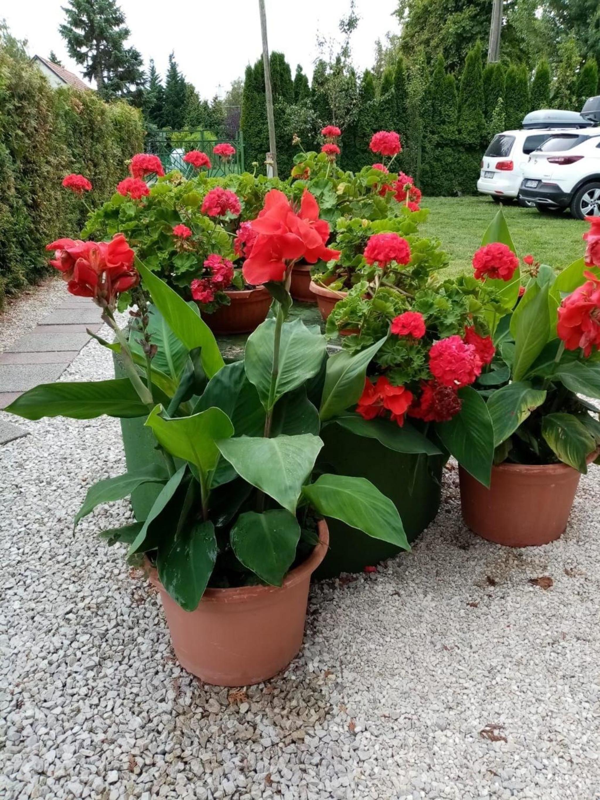 Wohnung direkt am See mit Klima, Garten und Pool view 5