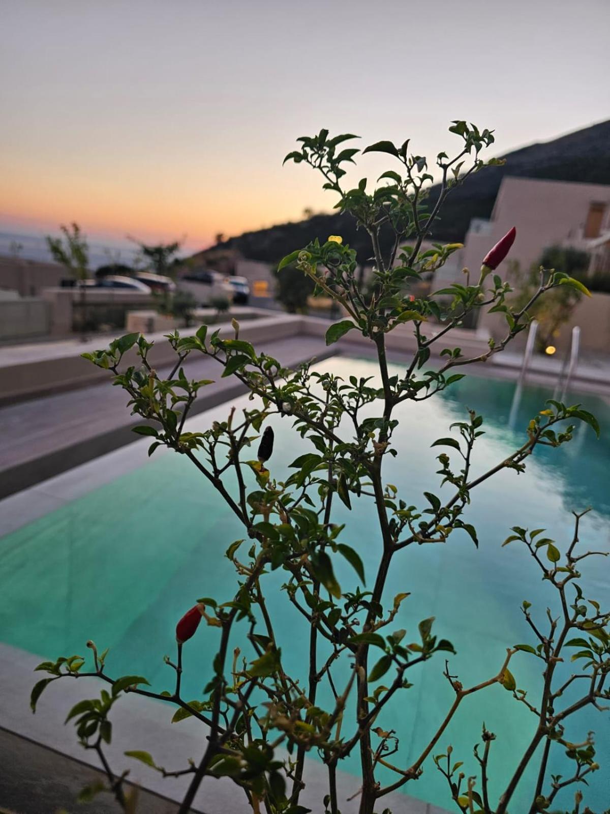 Villa Ostriche Green Coast Palase