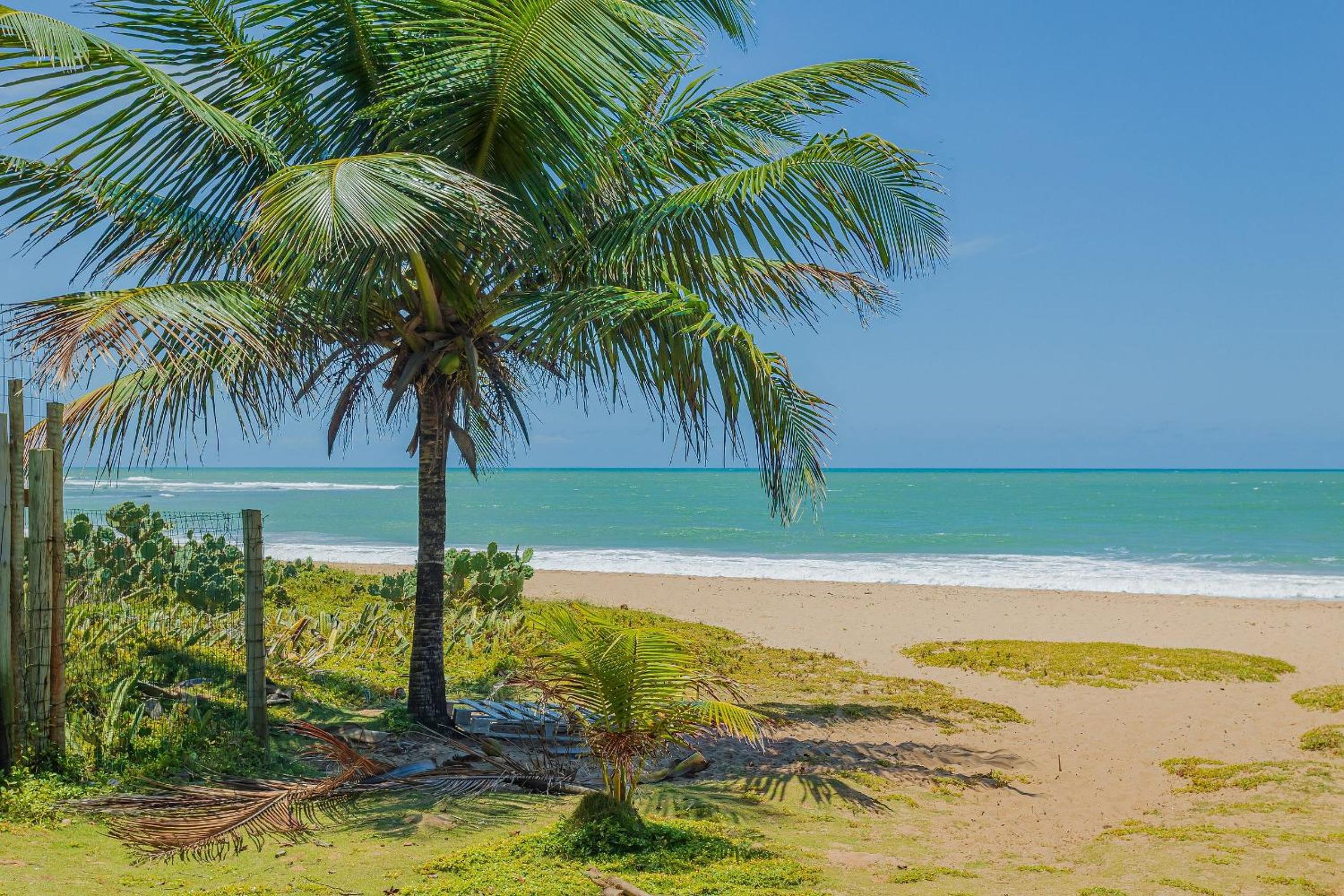 IT84 Wonderful 4-Suite Apartment, Right on the Beach - Itacimirim