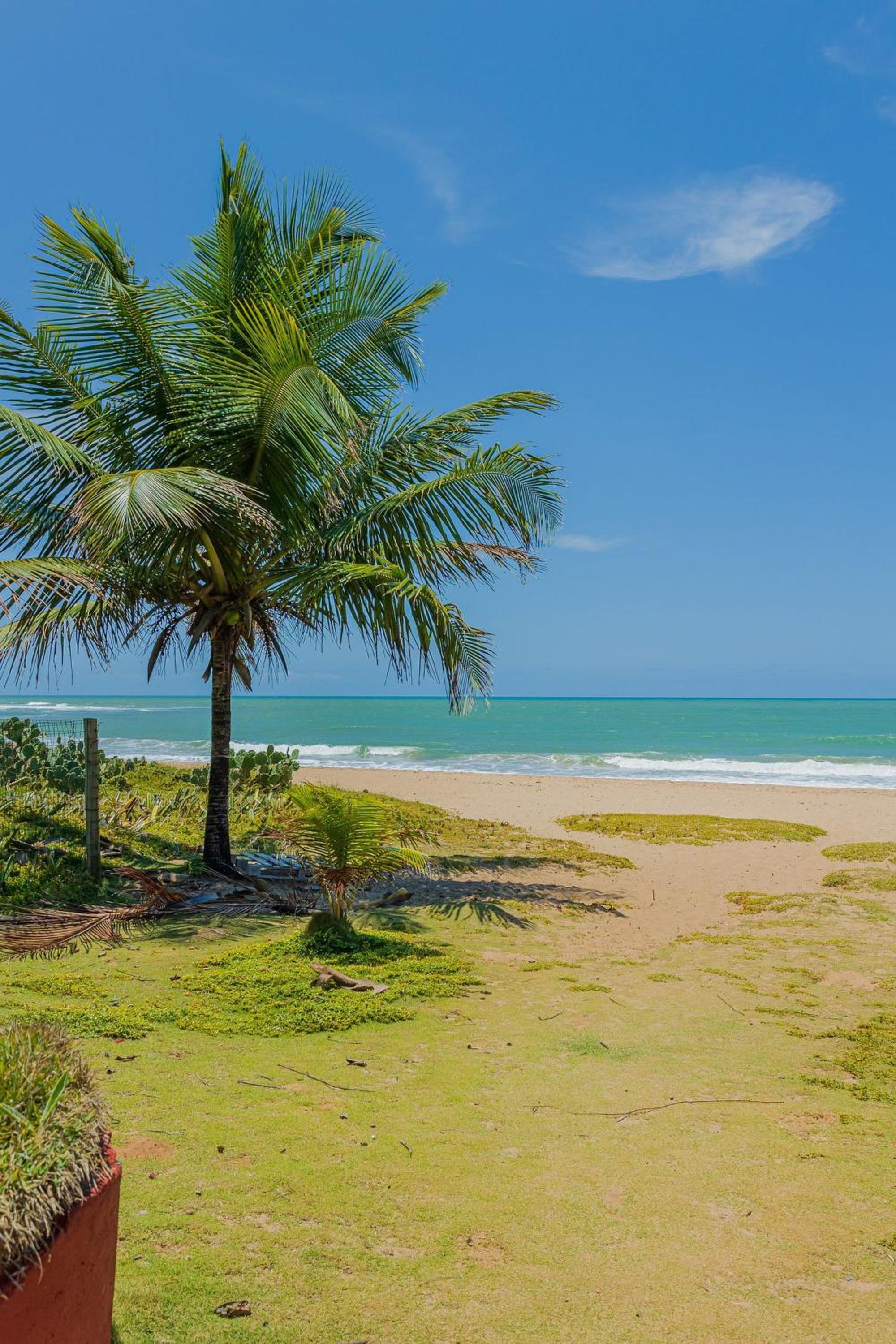 IT84 Wonderful 4-Suite Apartment, Right on the Beach - Itacimirim