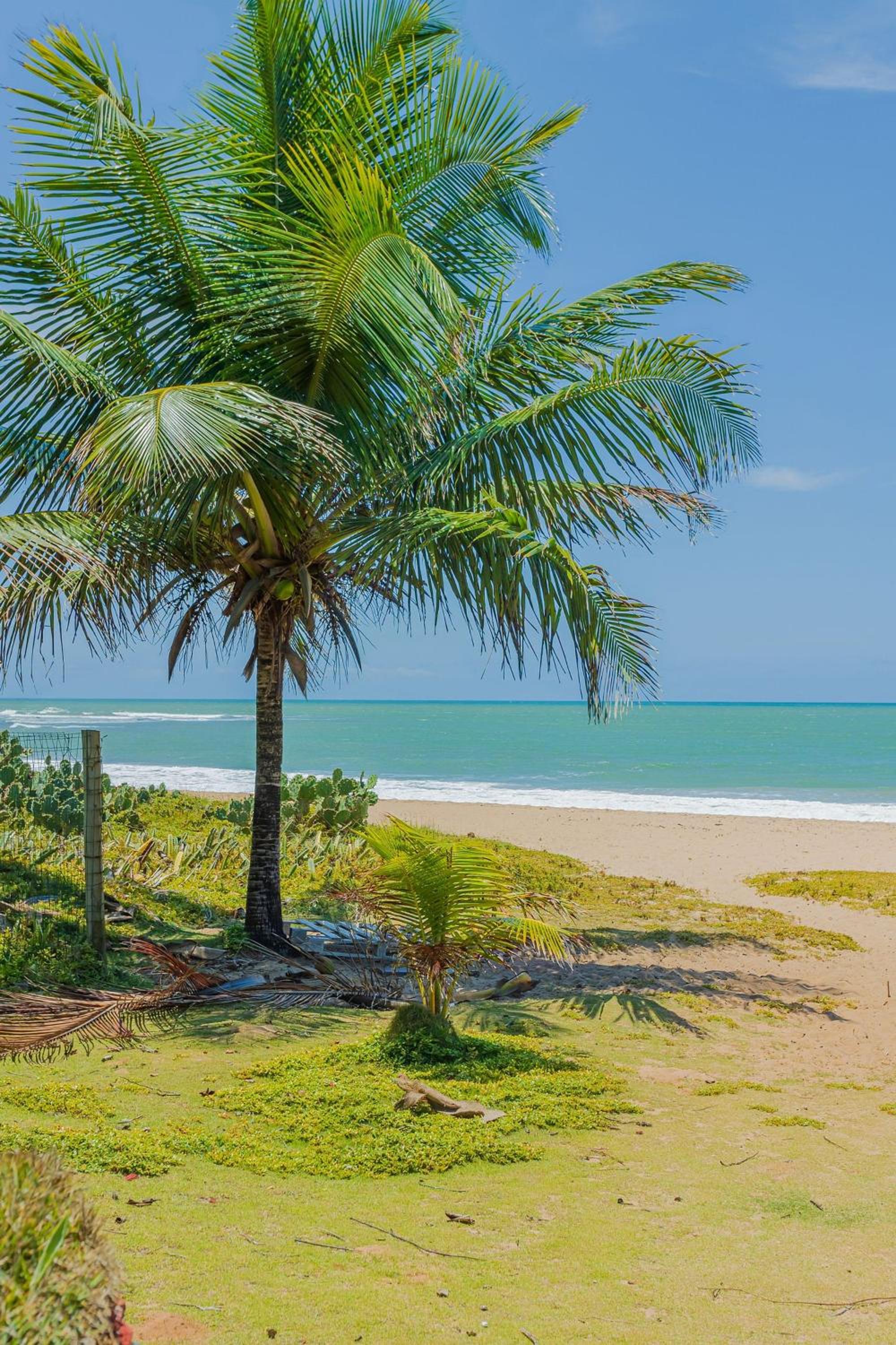 IT84 Wonderful 4-Suite Apartment, Right on the Beach - Itacimirim