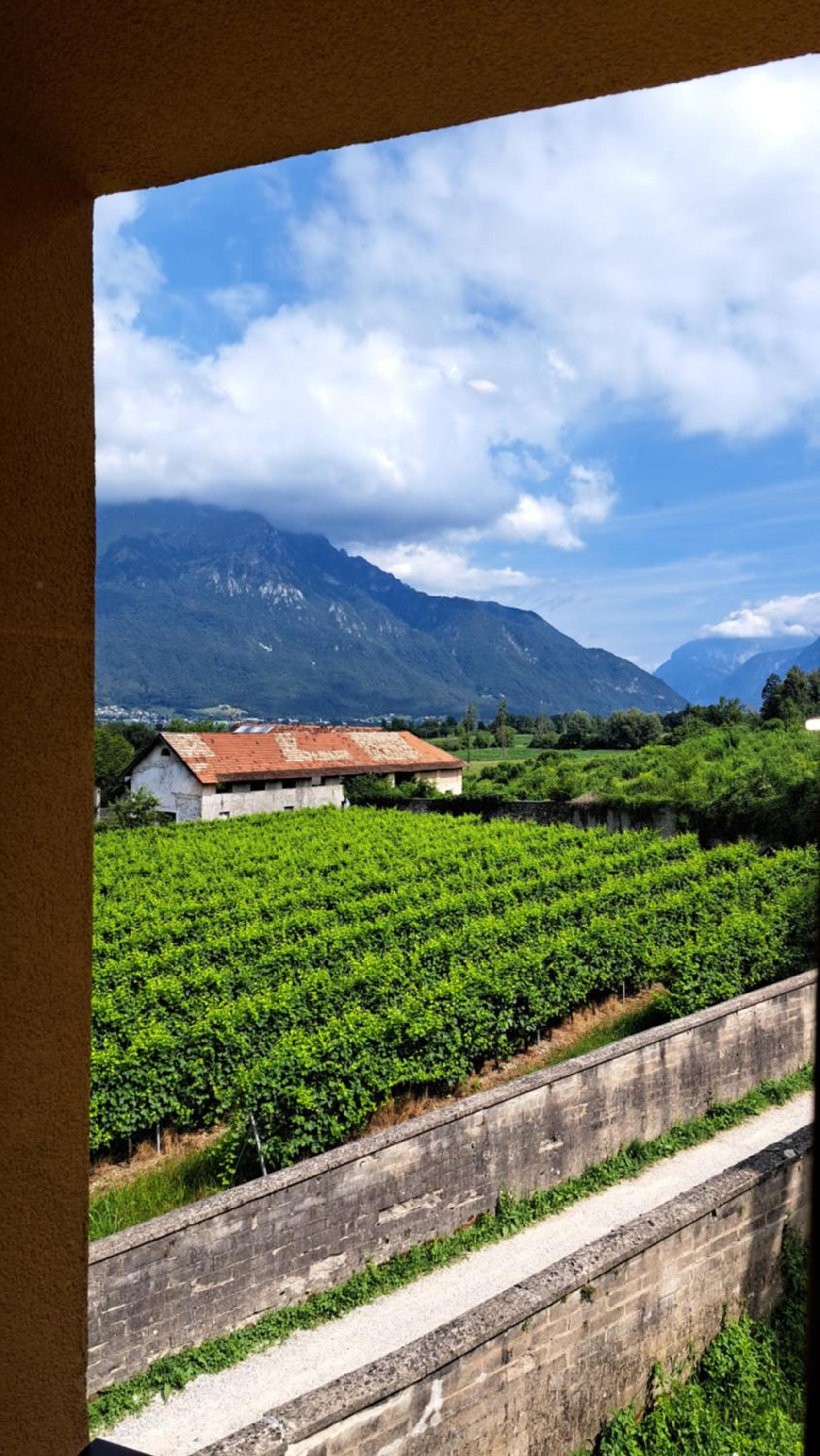 Agriturismo Villa di Modolo - Cortile della Latteria