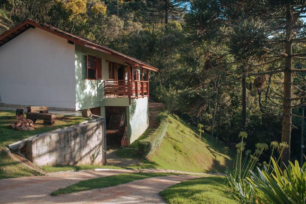 Jardim dos pinheiros