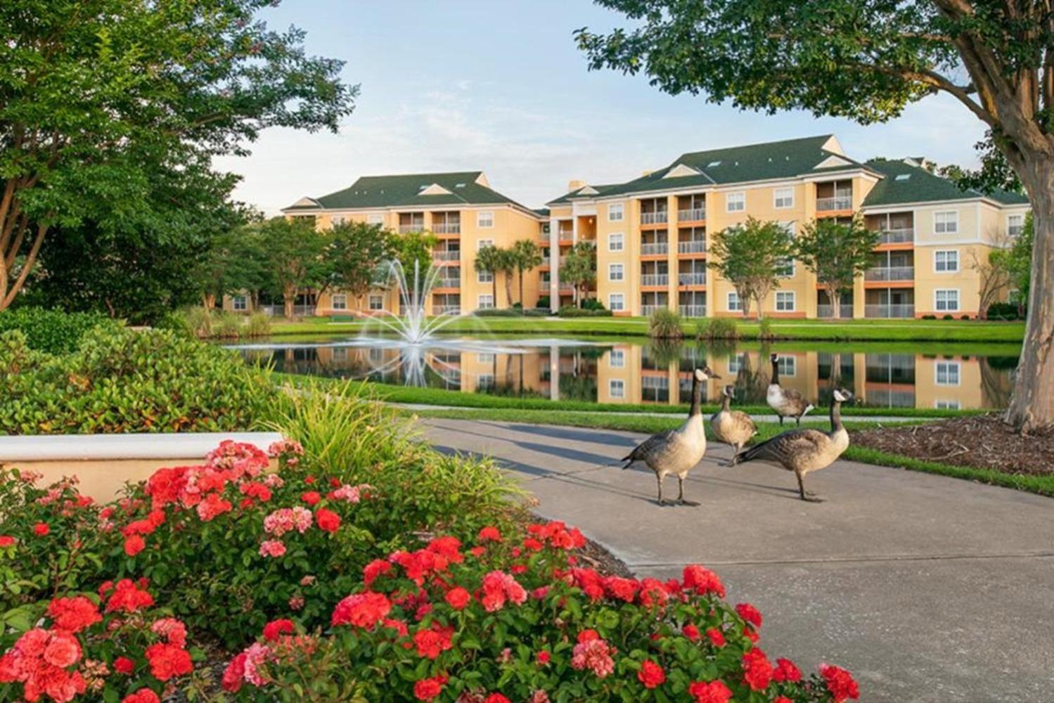 Relax in this resort 1BD condo with amazing amenities after sightseeing Myrtle Beach