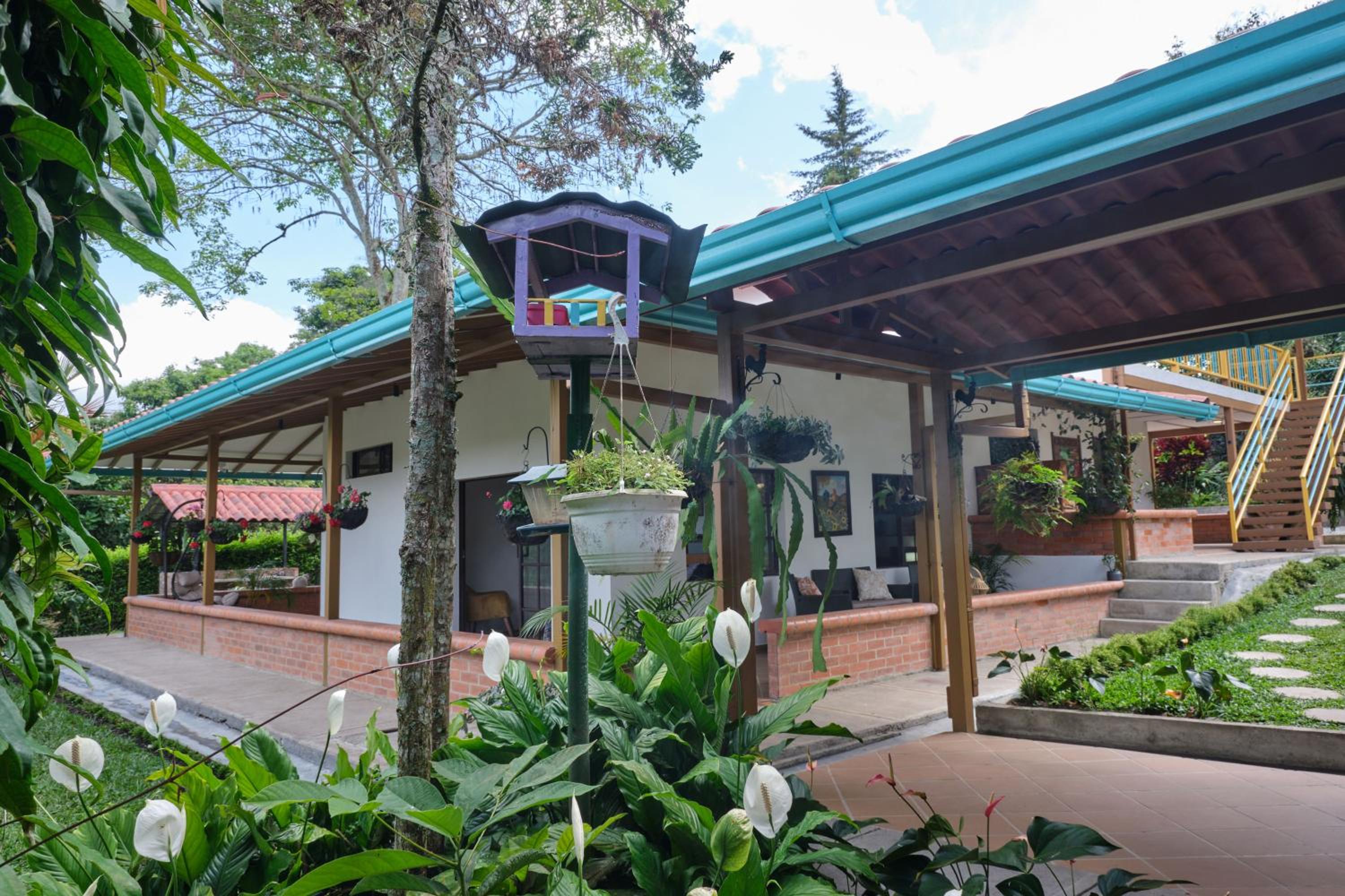 San Jose Coffee farm