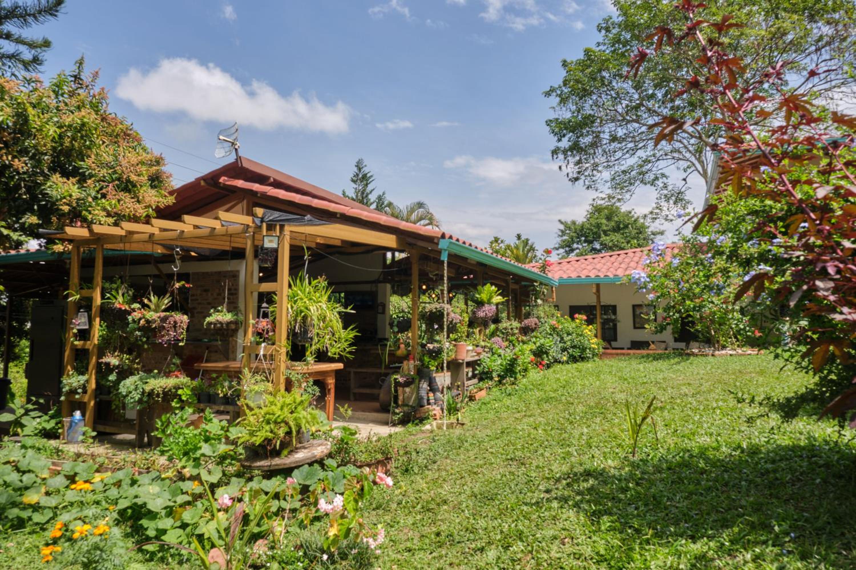 San Jose Coffee farm
