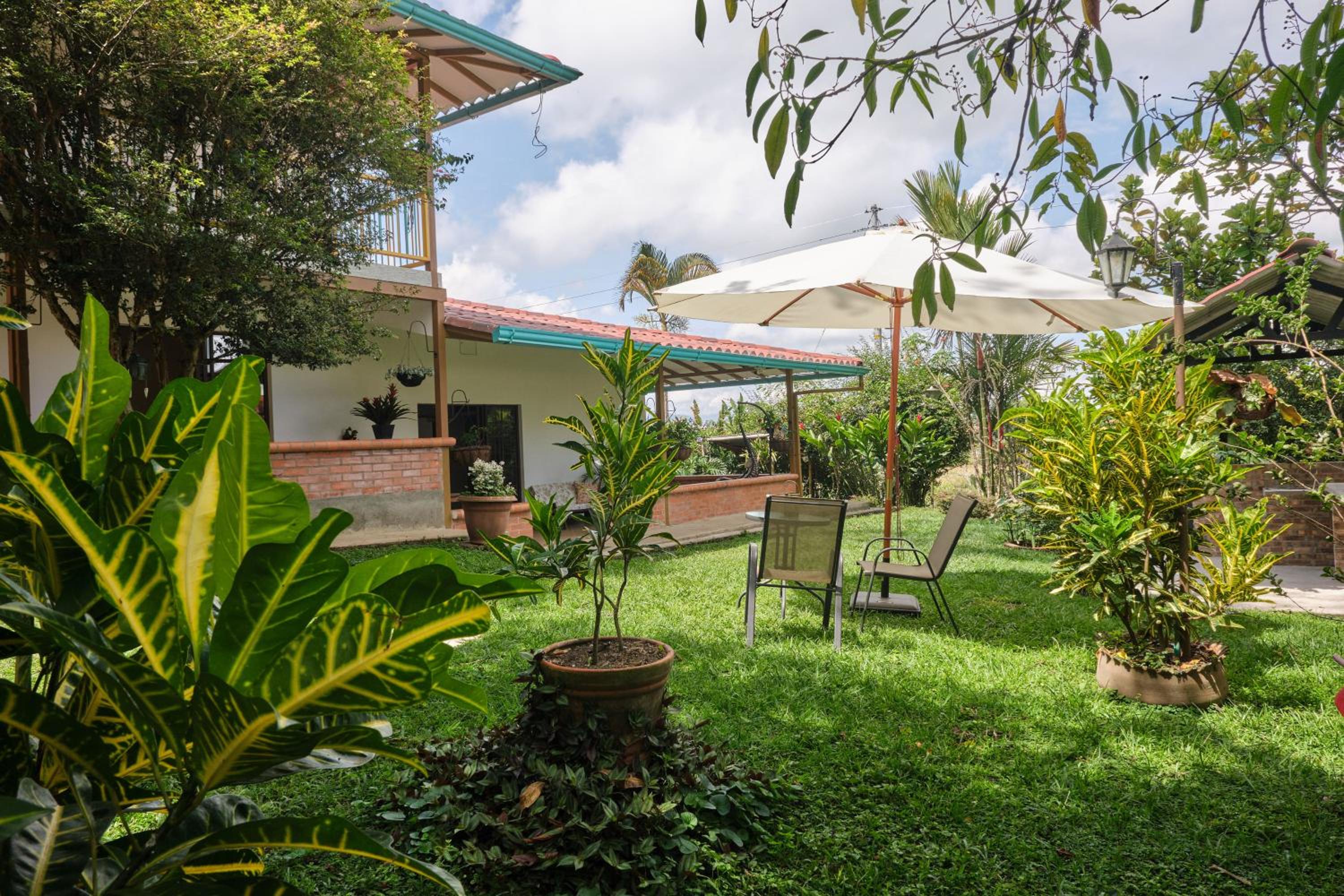 San Jose Coffee farm