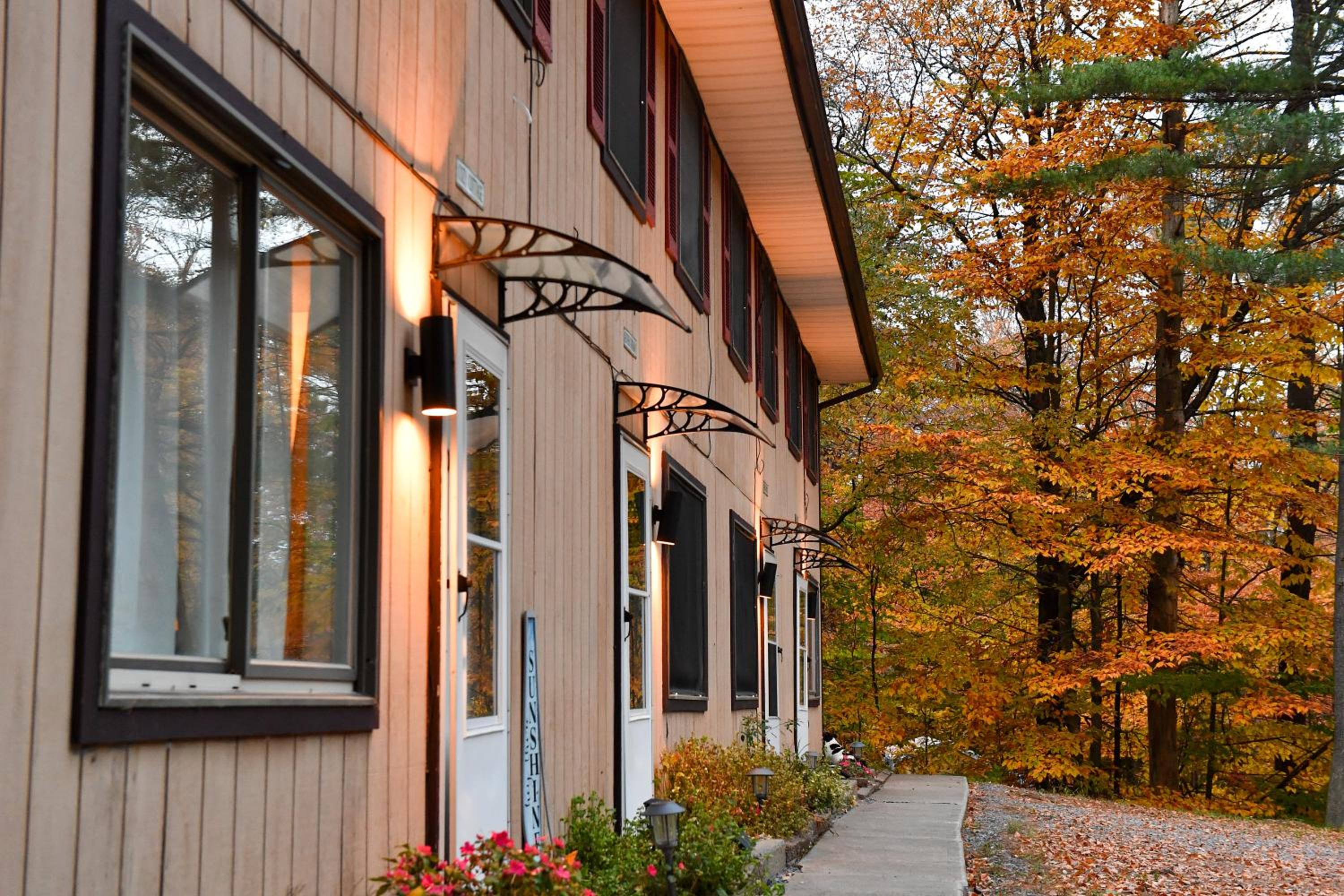 Cozy Cottage view 4