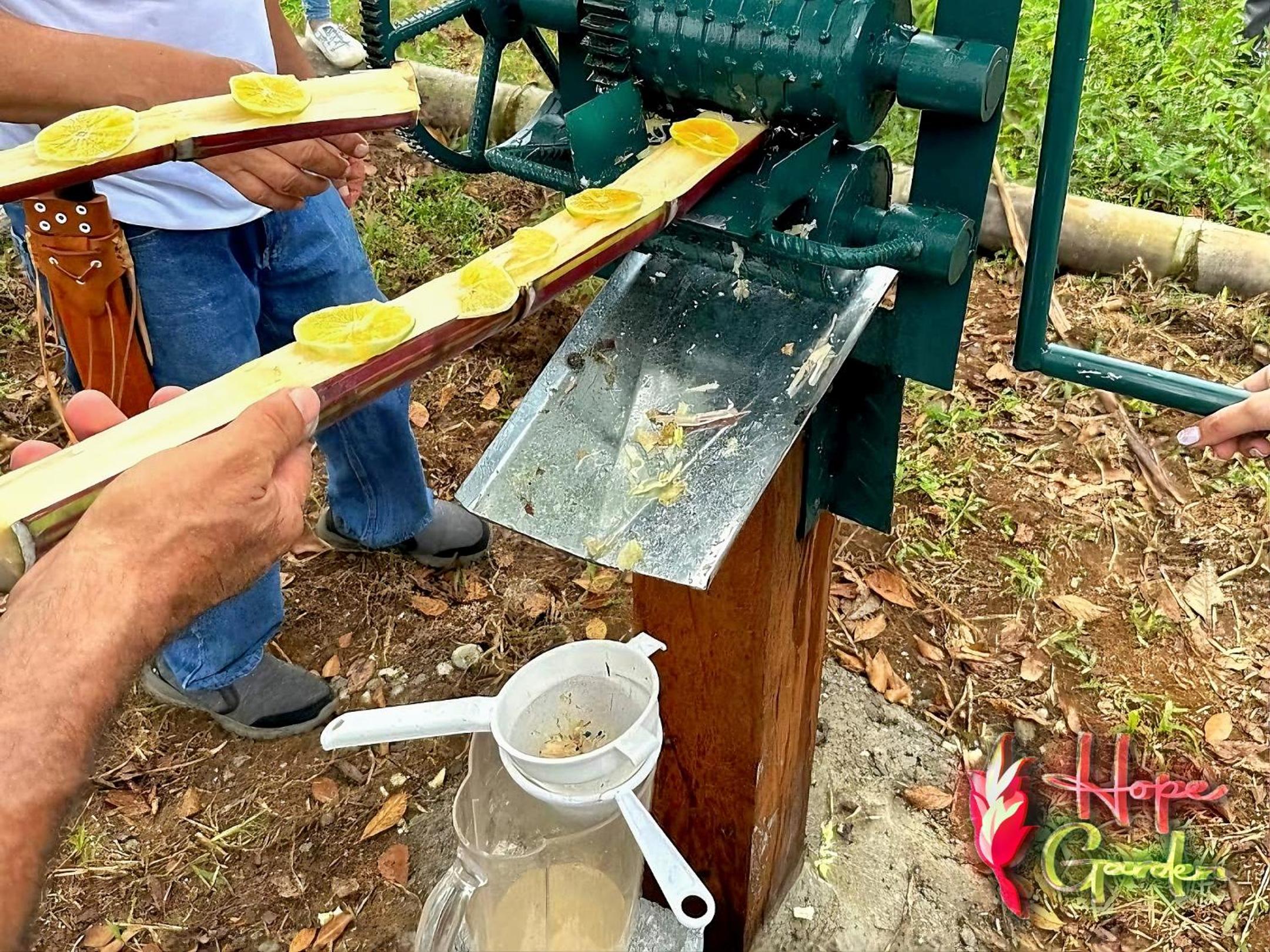 HOPE GARDEN, SARAPIQUÍ, We connect you with the Sarapiquí tropical forest