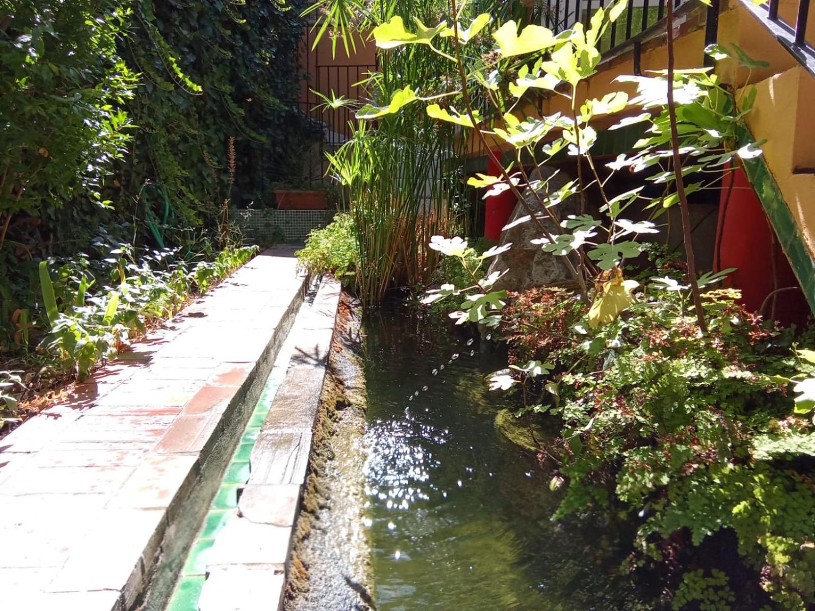 Photo 48