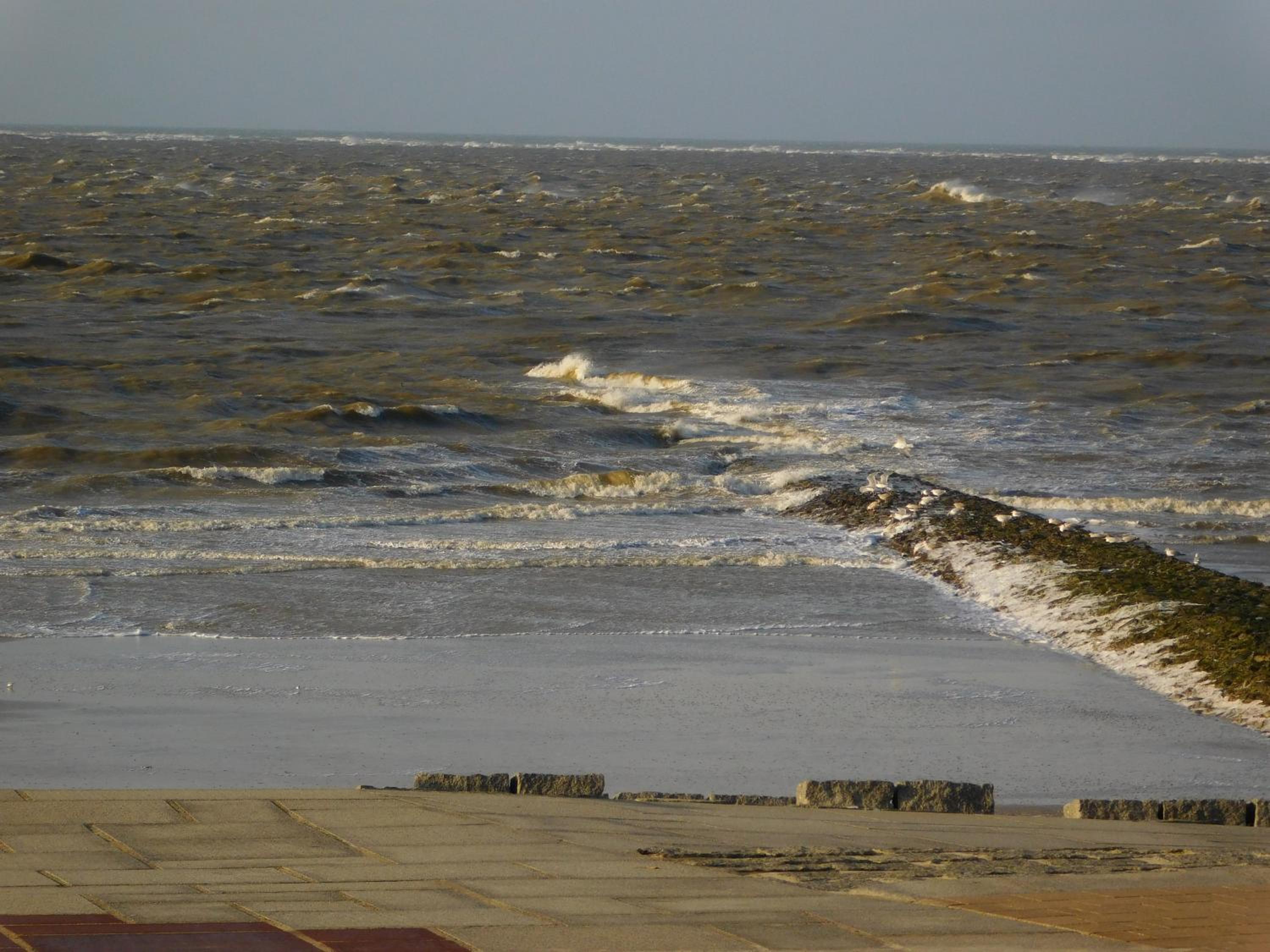 Ferienwohnung Lina Norderney