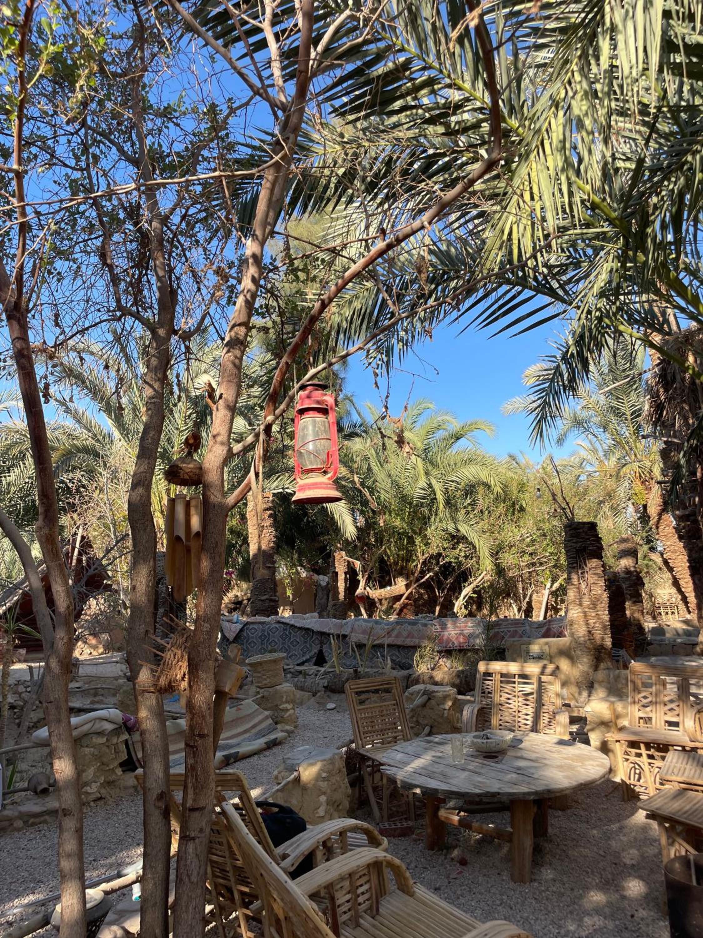Shamofs art garden