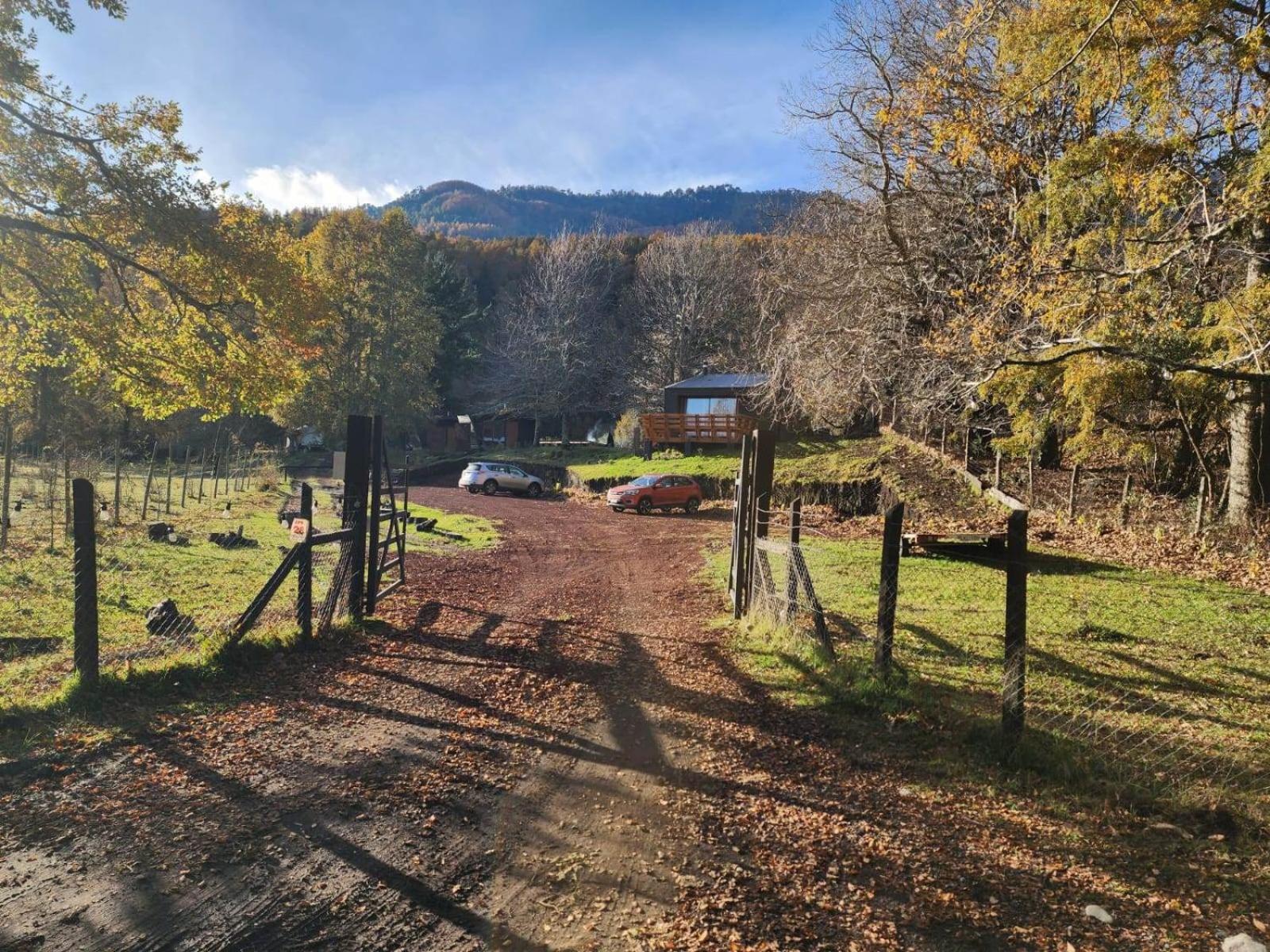 Cabañas hualle sur cerca huilo huilo