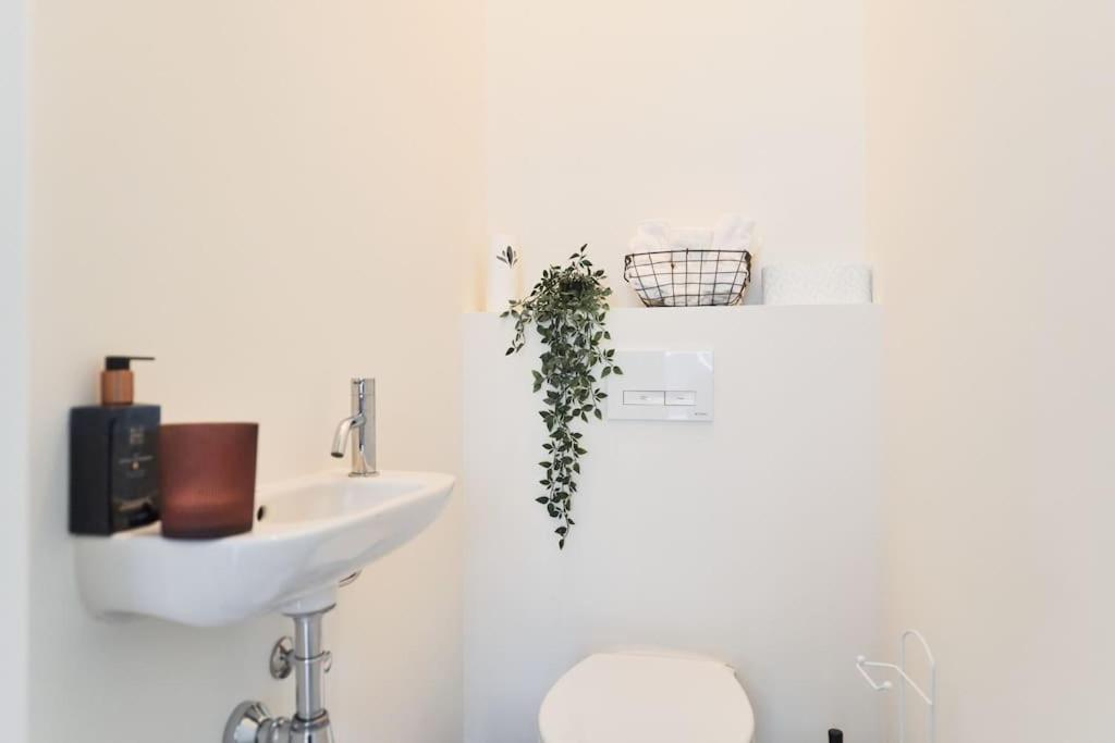 BoLofts Edegem