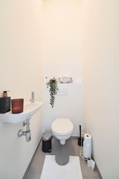 BoLofts Edegem
