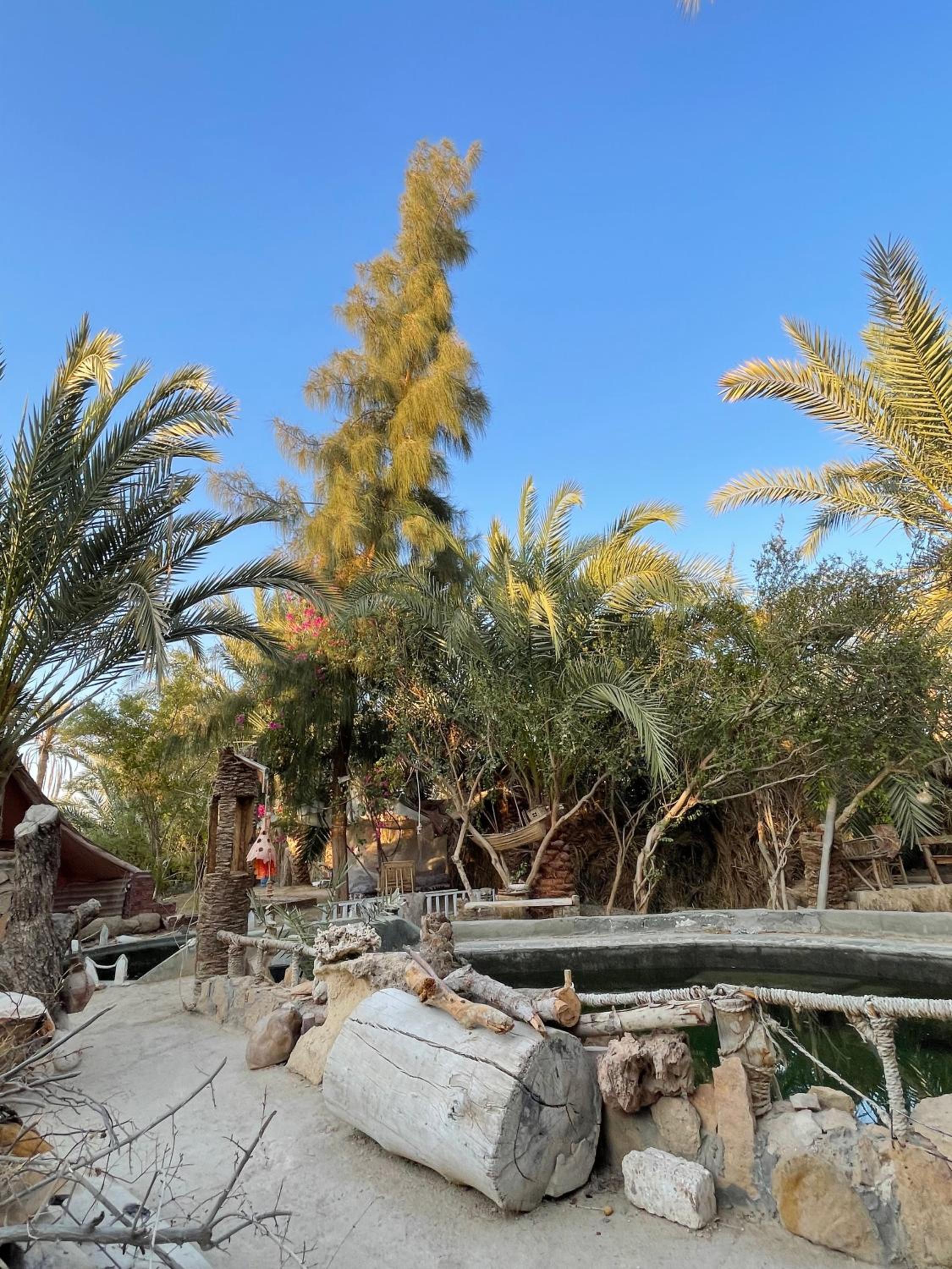 Shamofs art garden