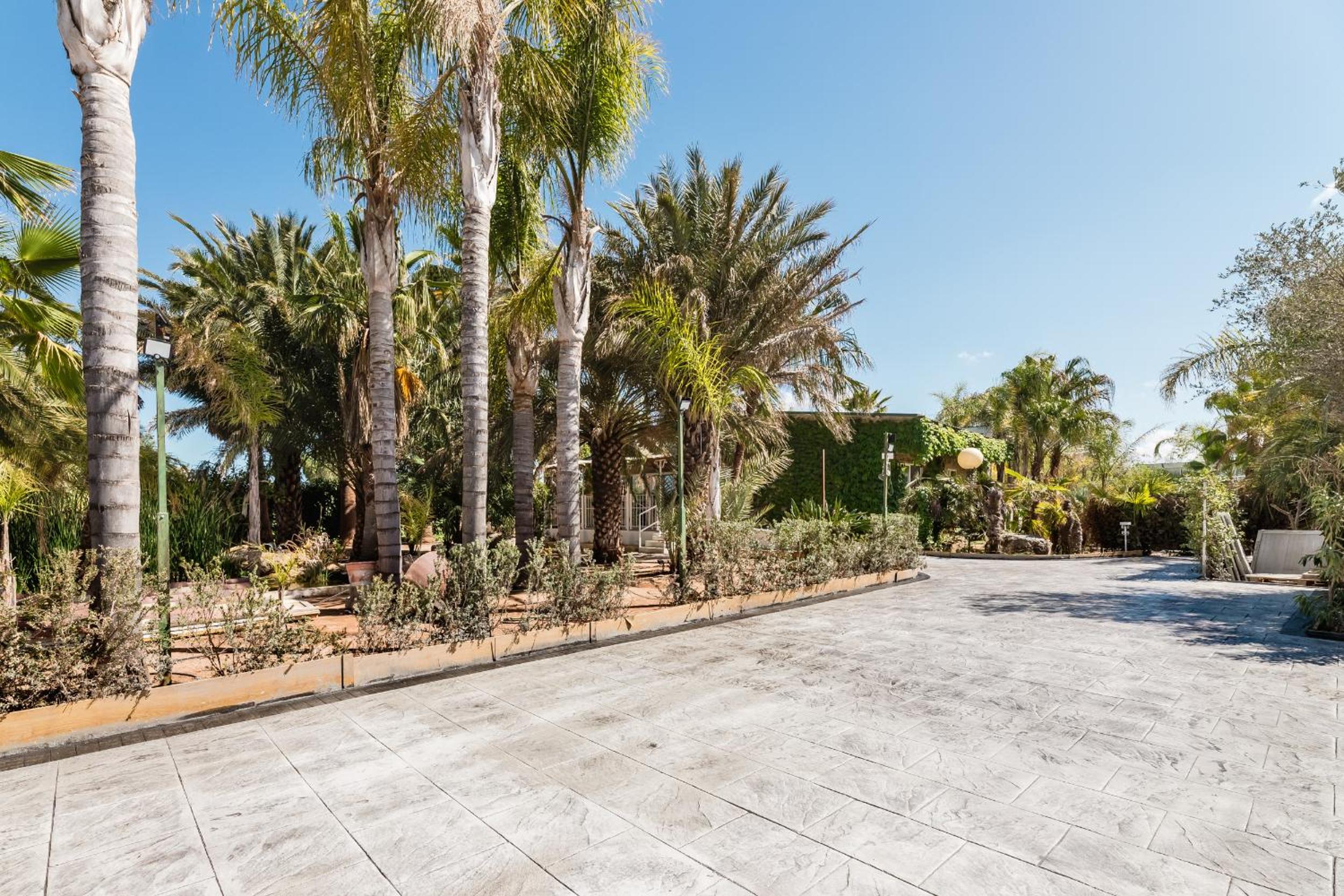 Palm Garden Valencia