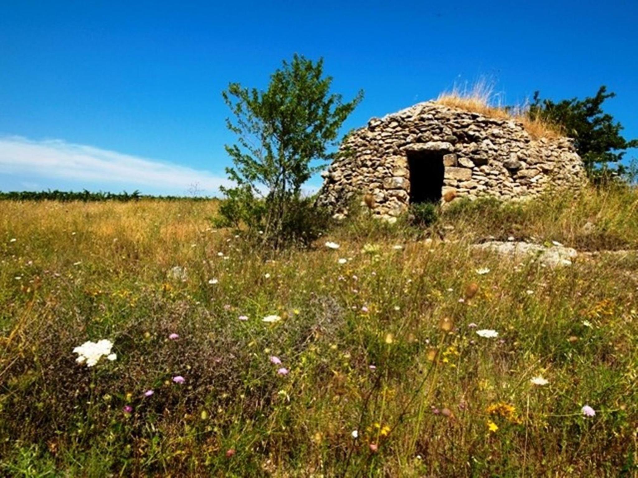 Cefalicchio B&B