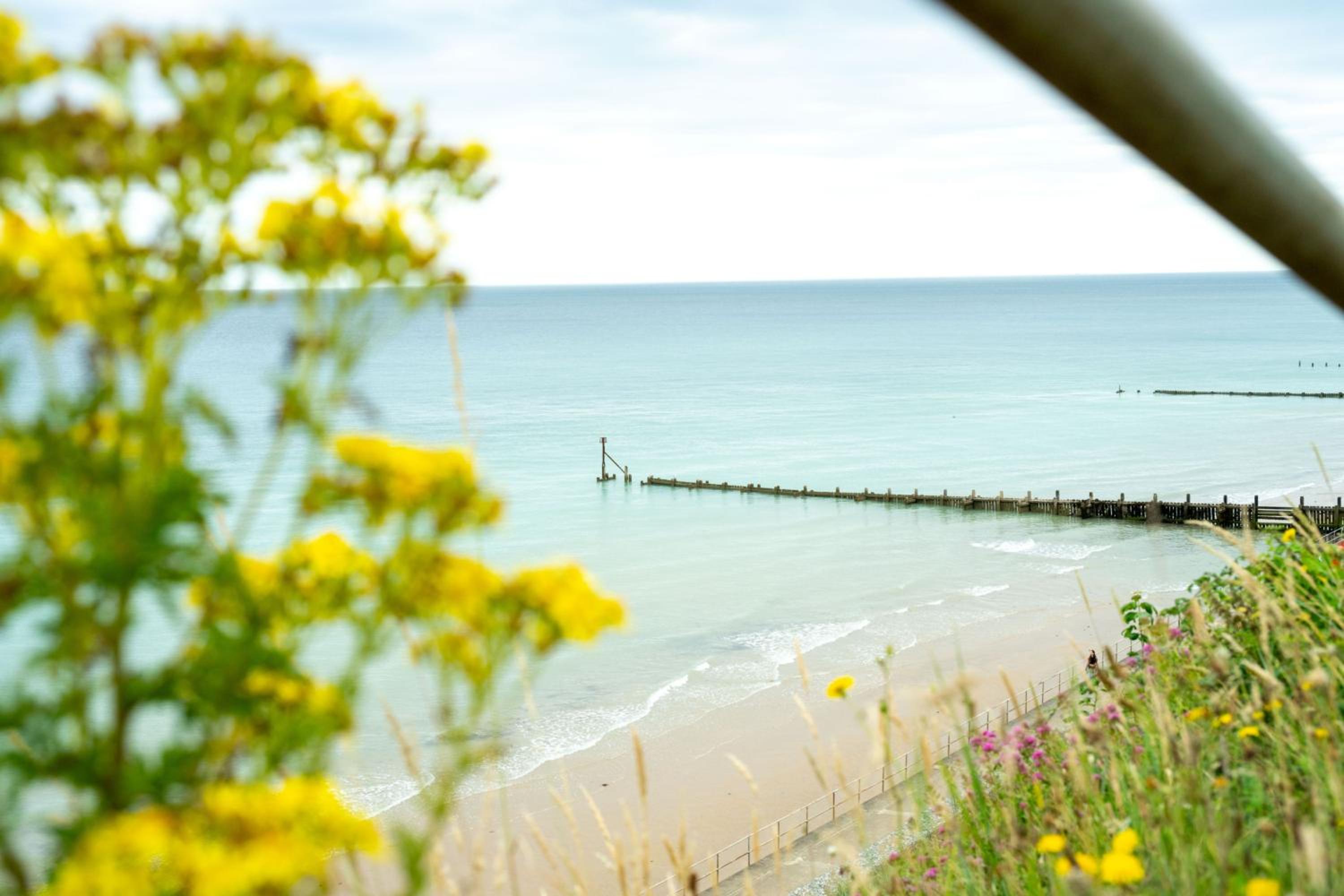 Sea Thrift House by Big Skies Cottages