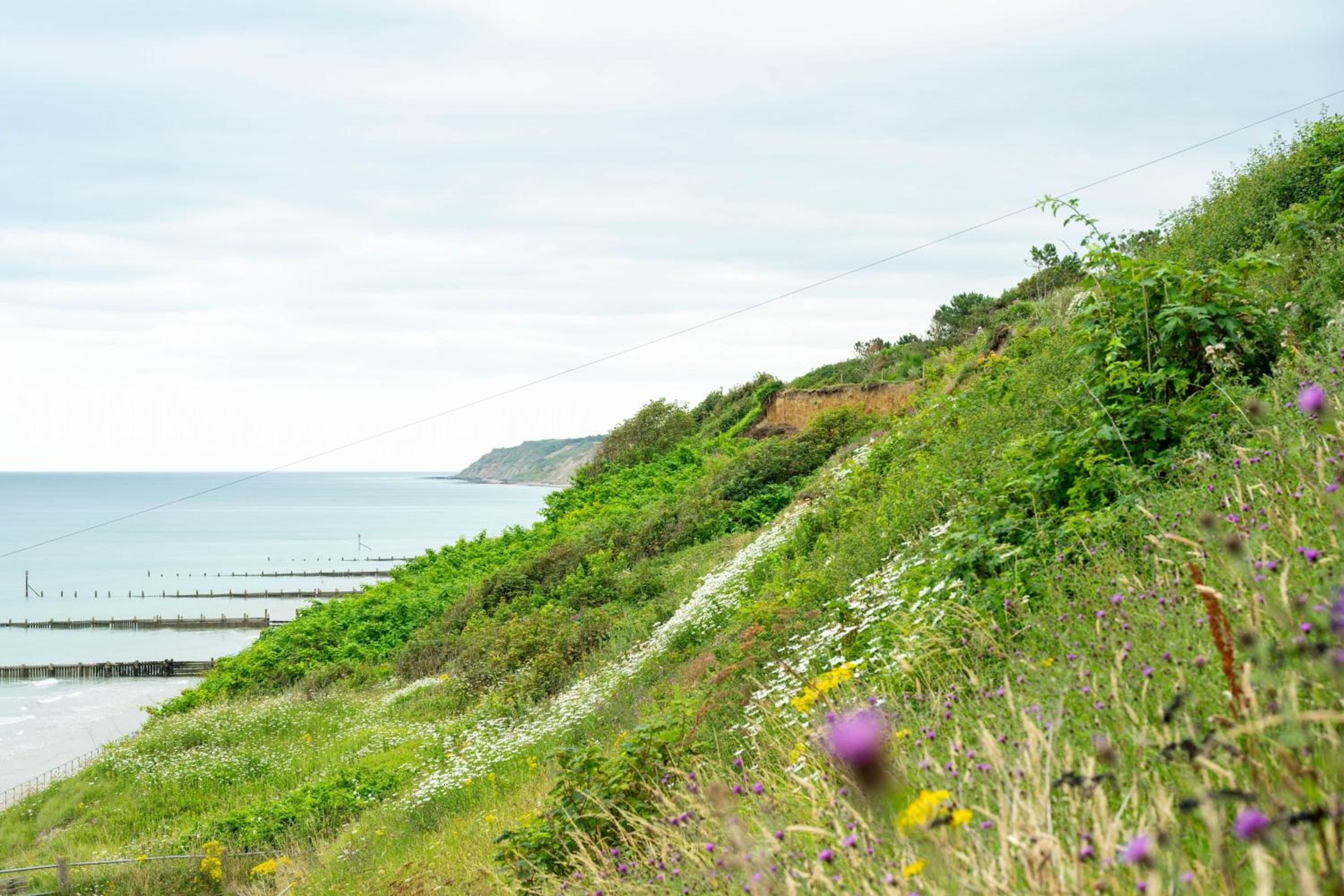 Sea Thrift House by Big Skies Cottages