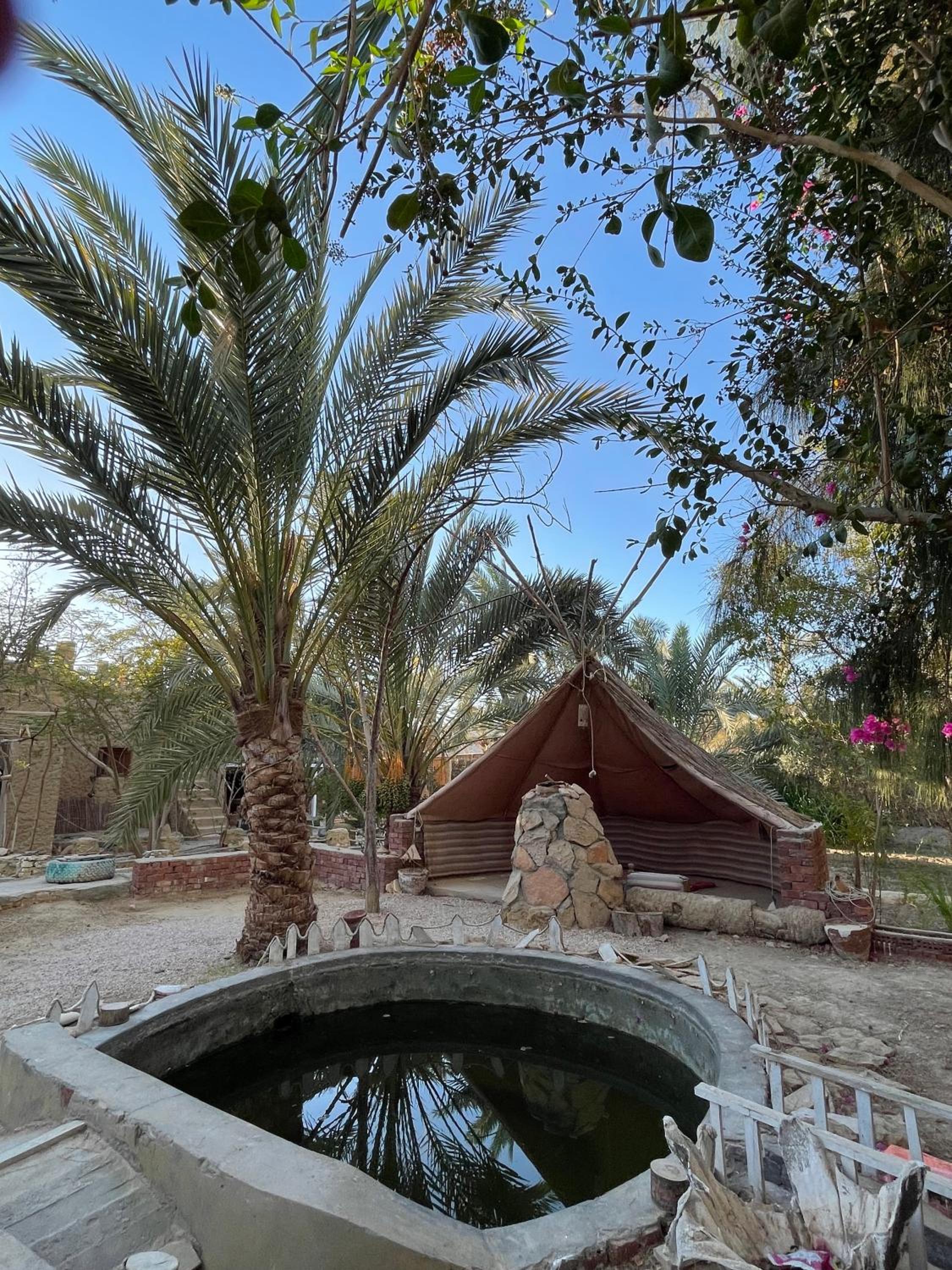 Shamofs art garden