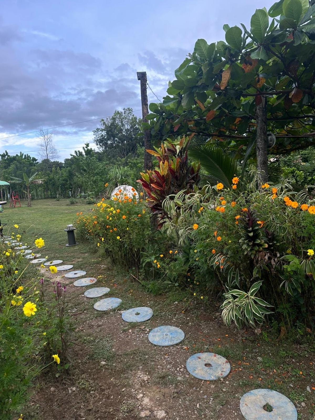 Camping La Bucara