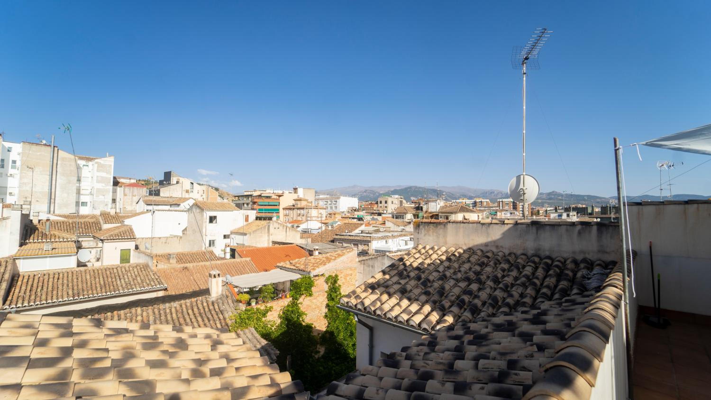 roof