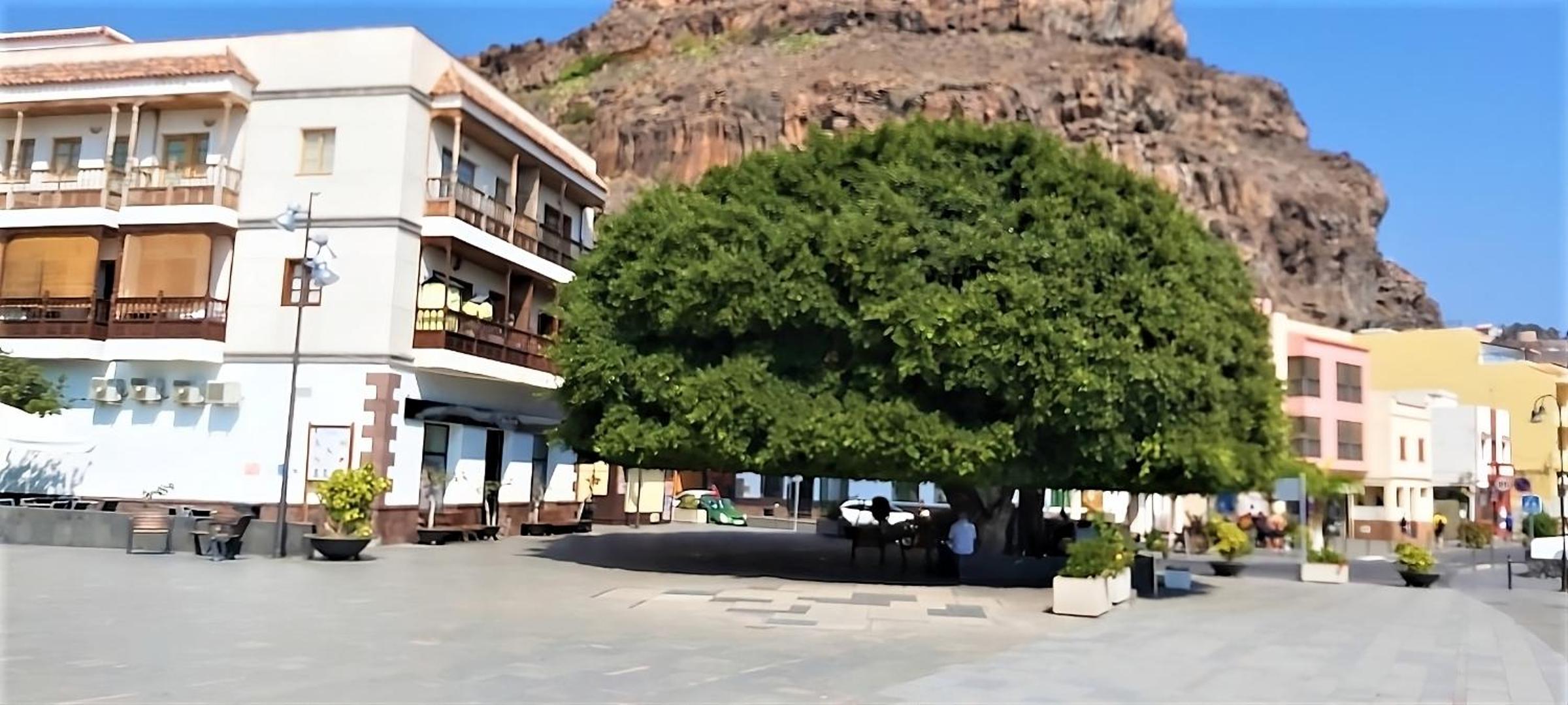 Casa Nature