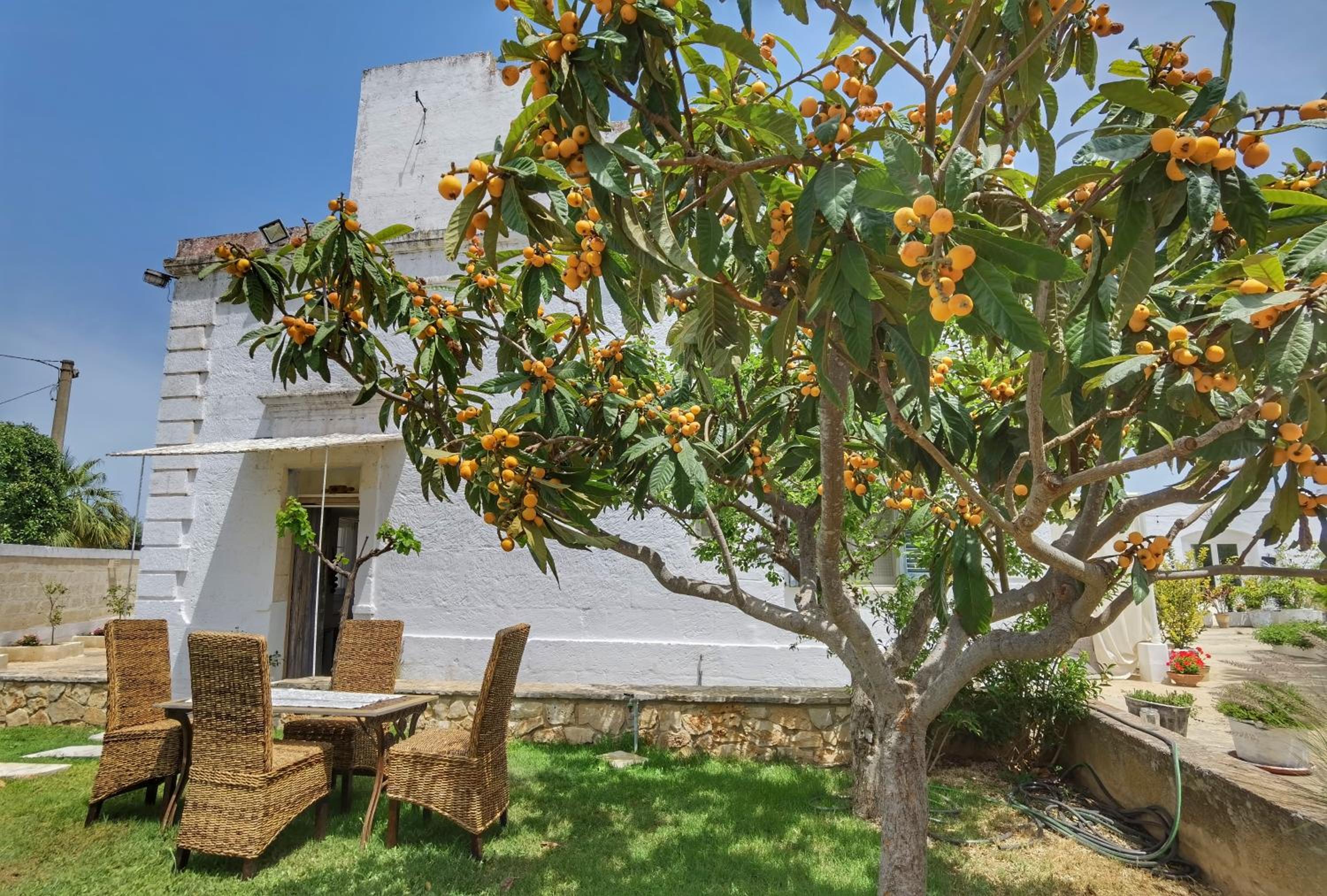 Masseria Verbena Agriturismo