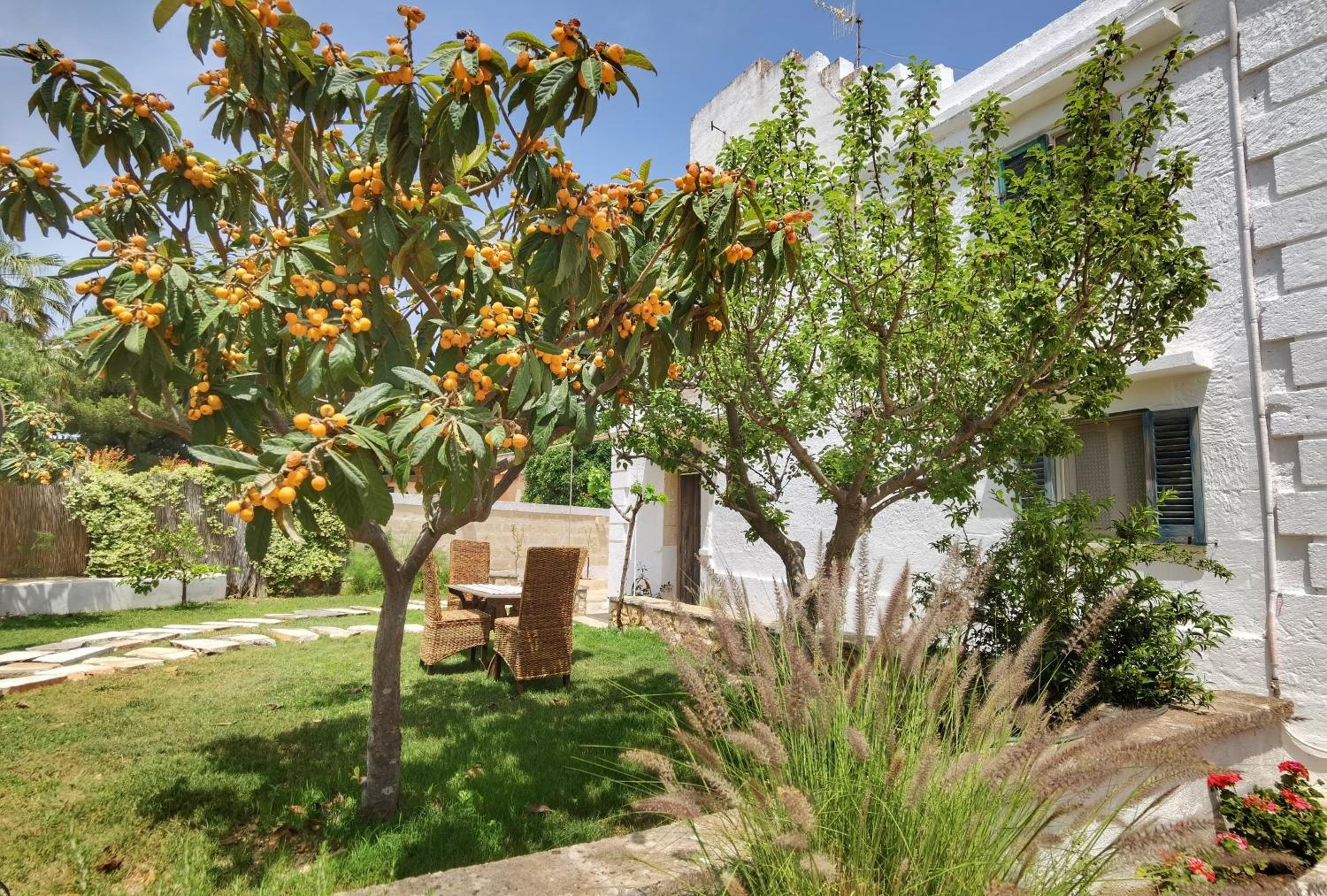 Masseria Verbena Agriturismo