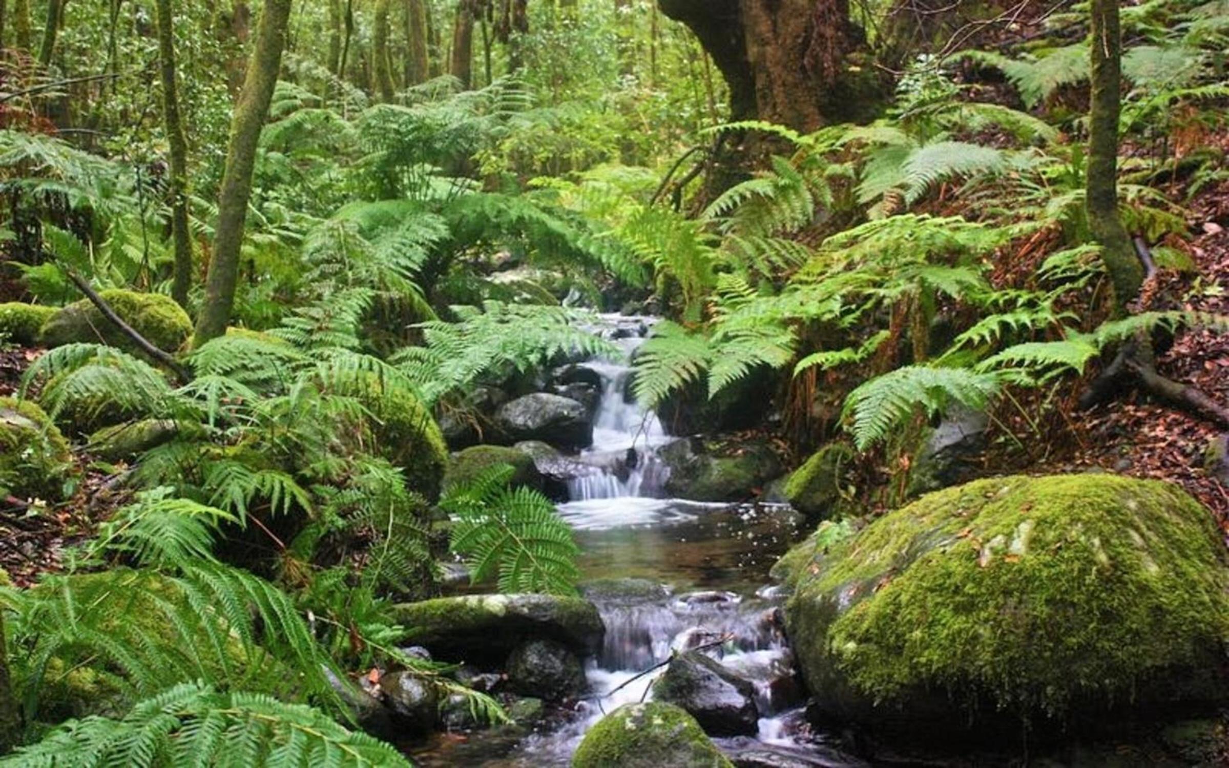 Casa Nature