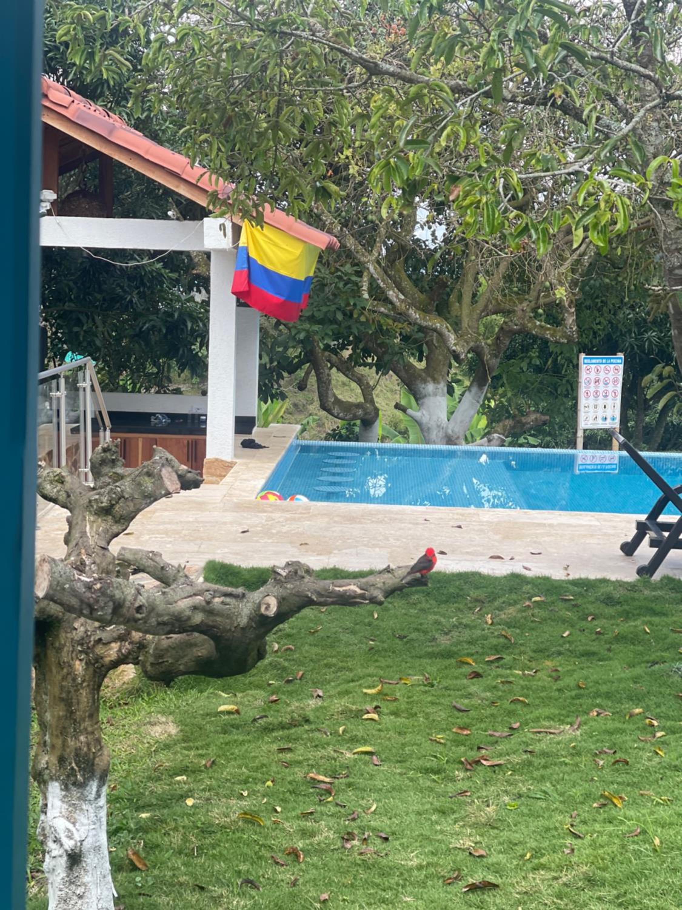 Finca Villa Sophia!