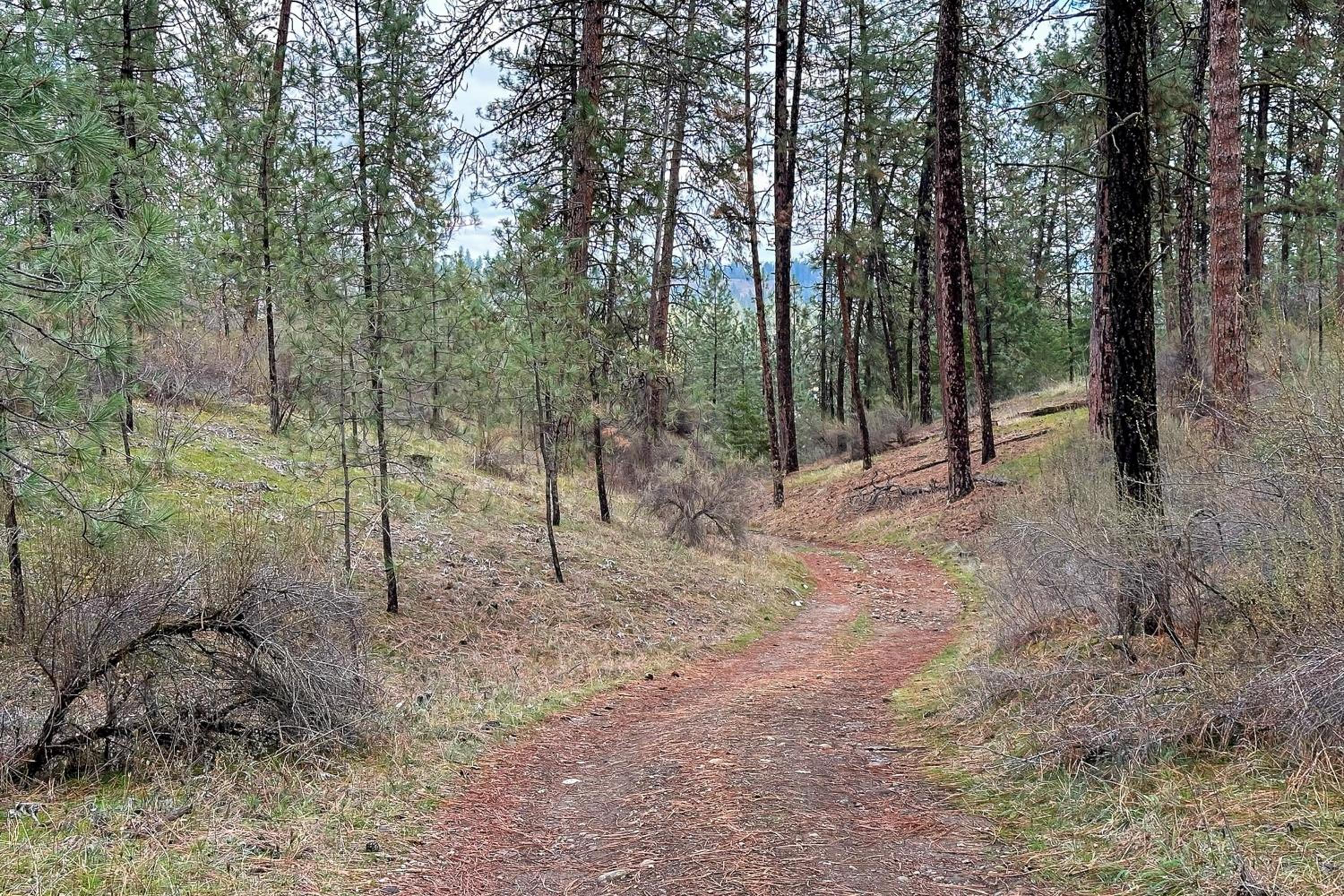 Private Lake Access and Dock Home Near Spokane