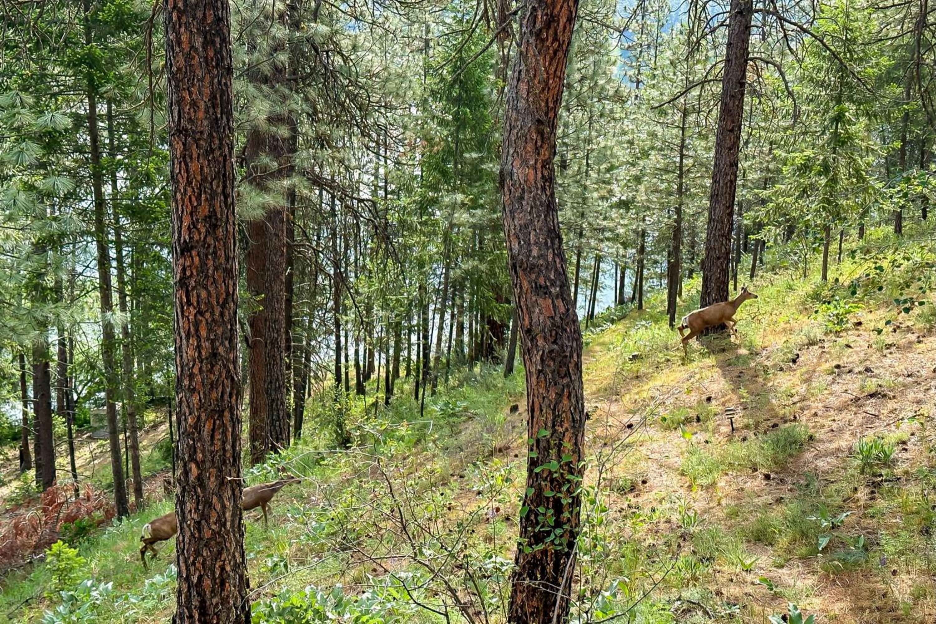 Private Lake Access and Dock Home Near Spokane