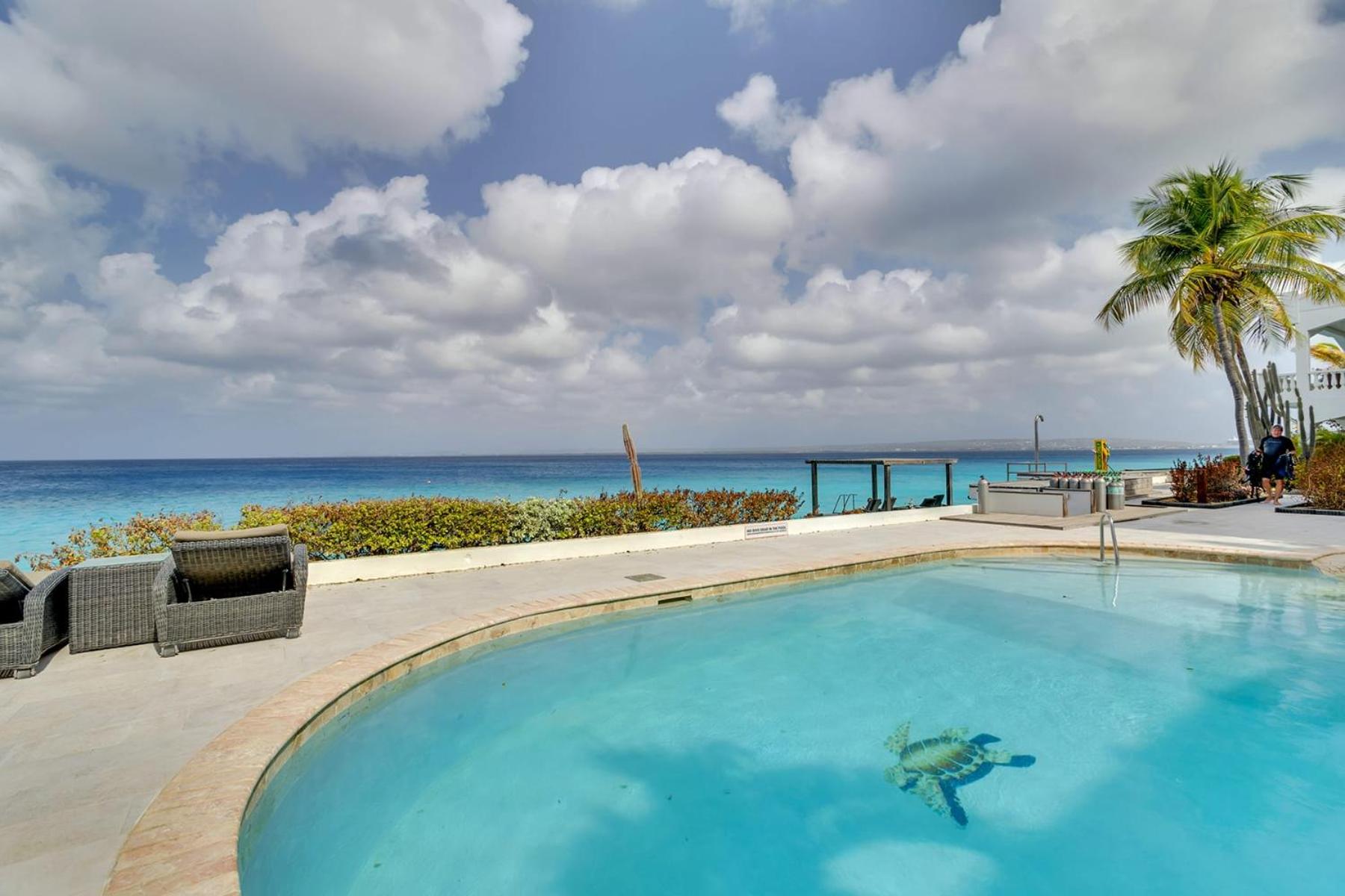 Belmar Oceanfront Apartments 15 with Pool
