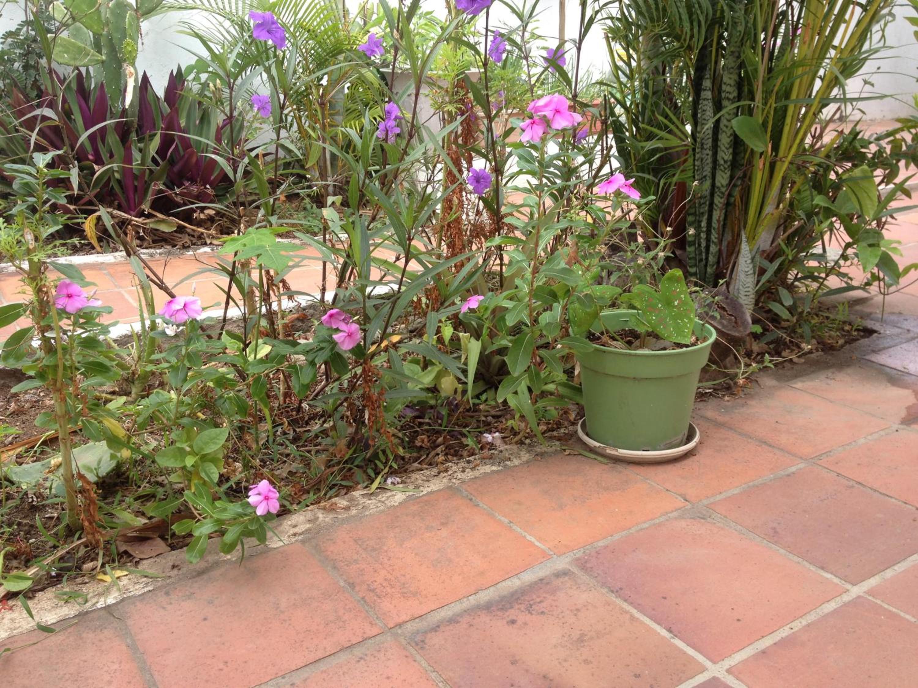 Photo 10