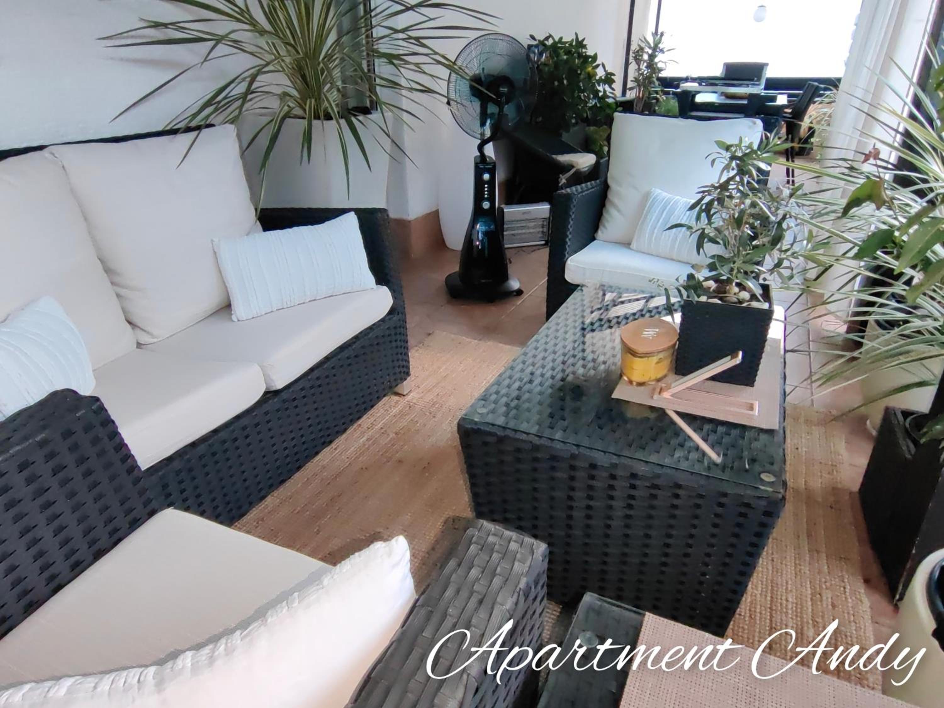 Apartment Andy