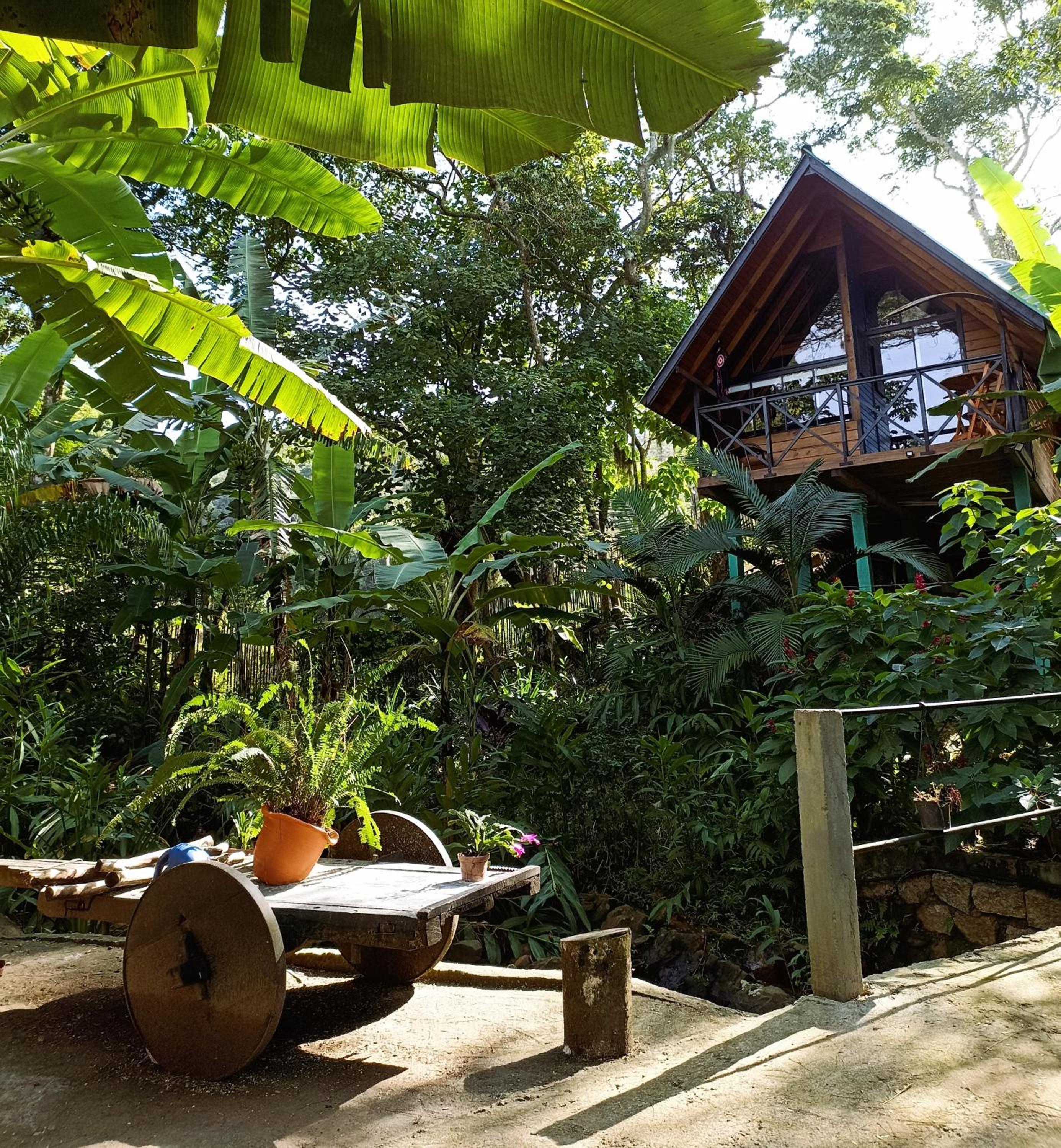 Cabana com Cachoeira Privativa