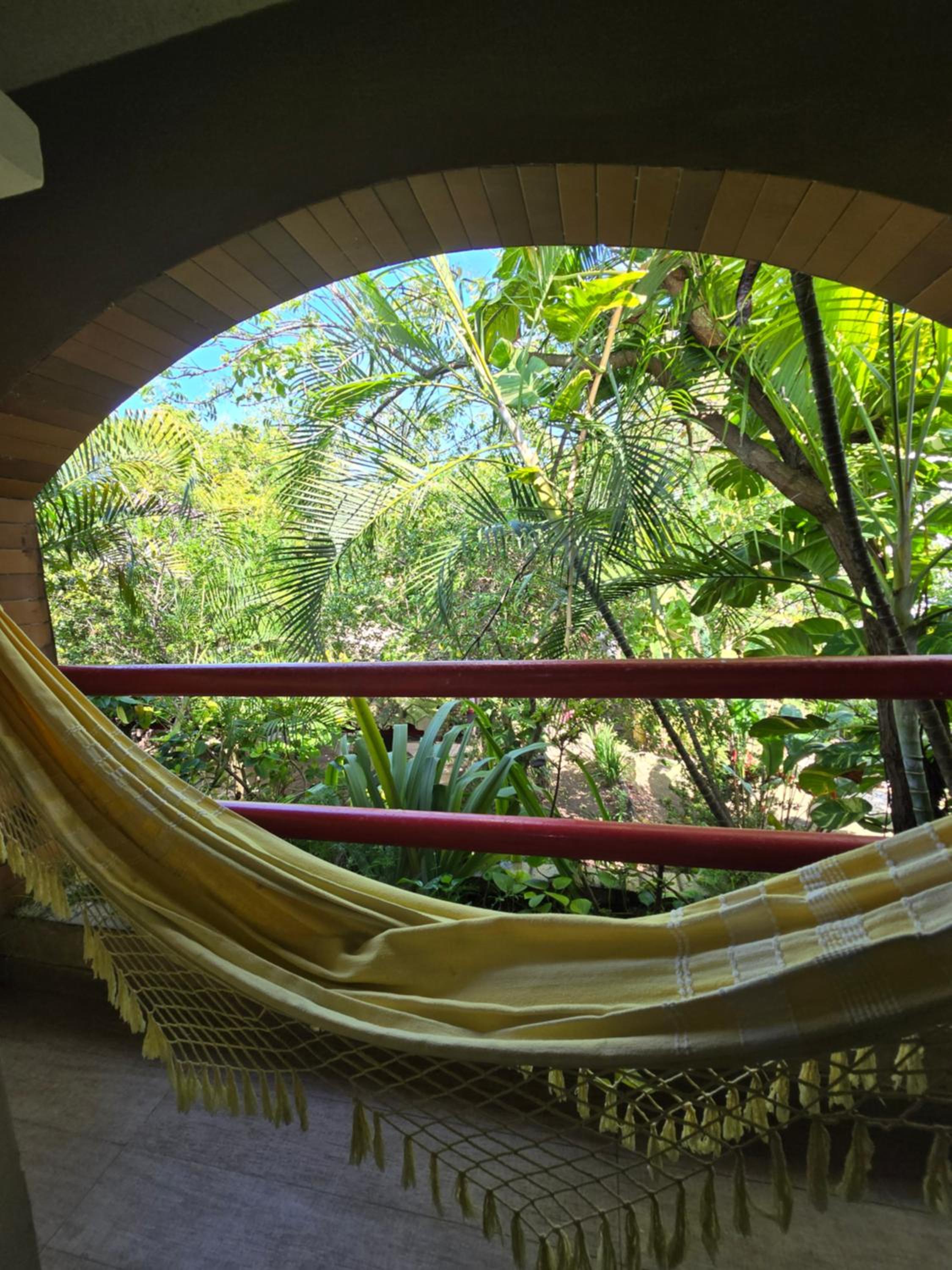 Studio oásis verde