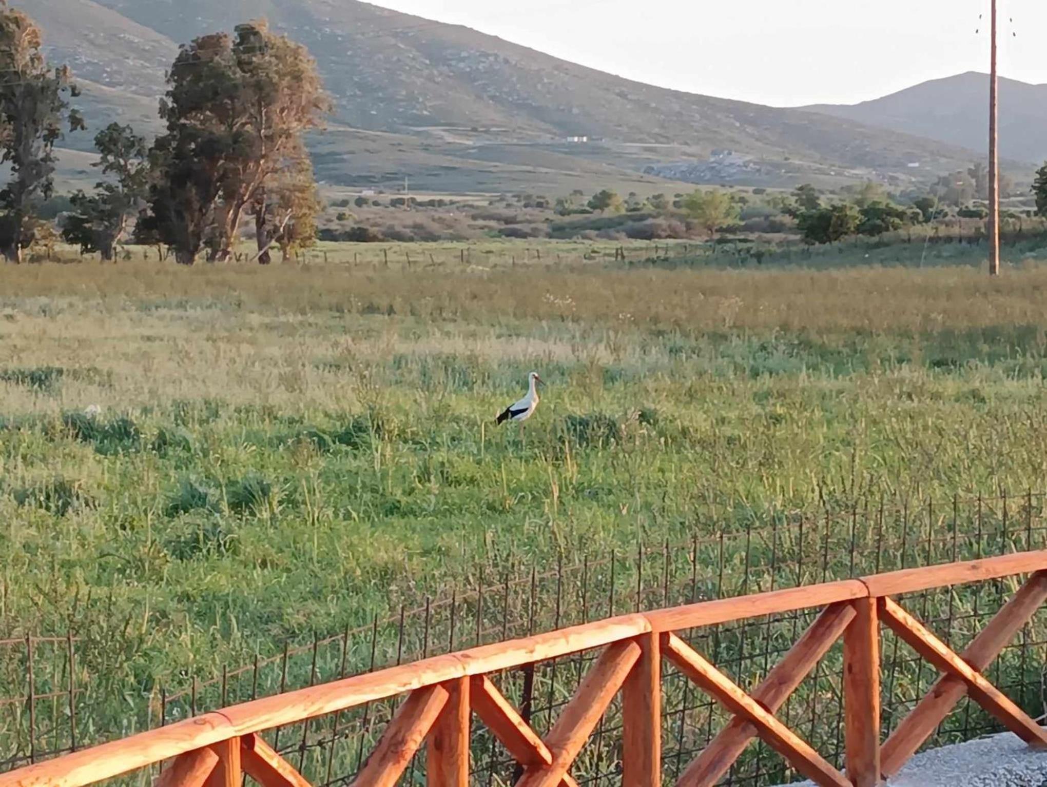 Aloni Farmhouse
