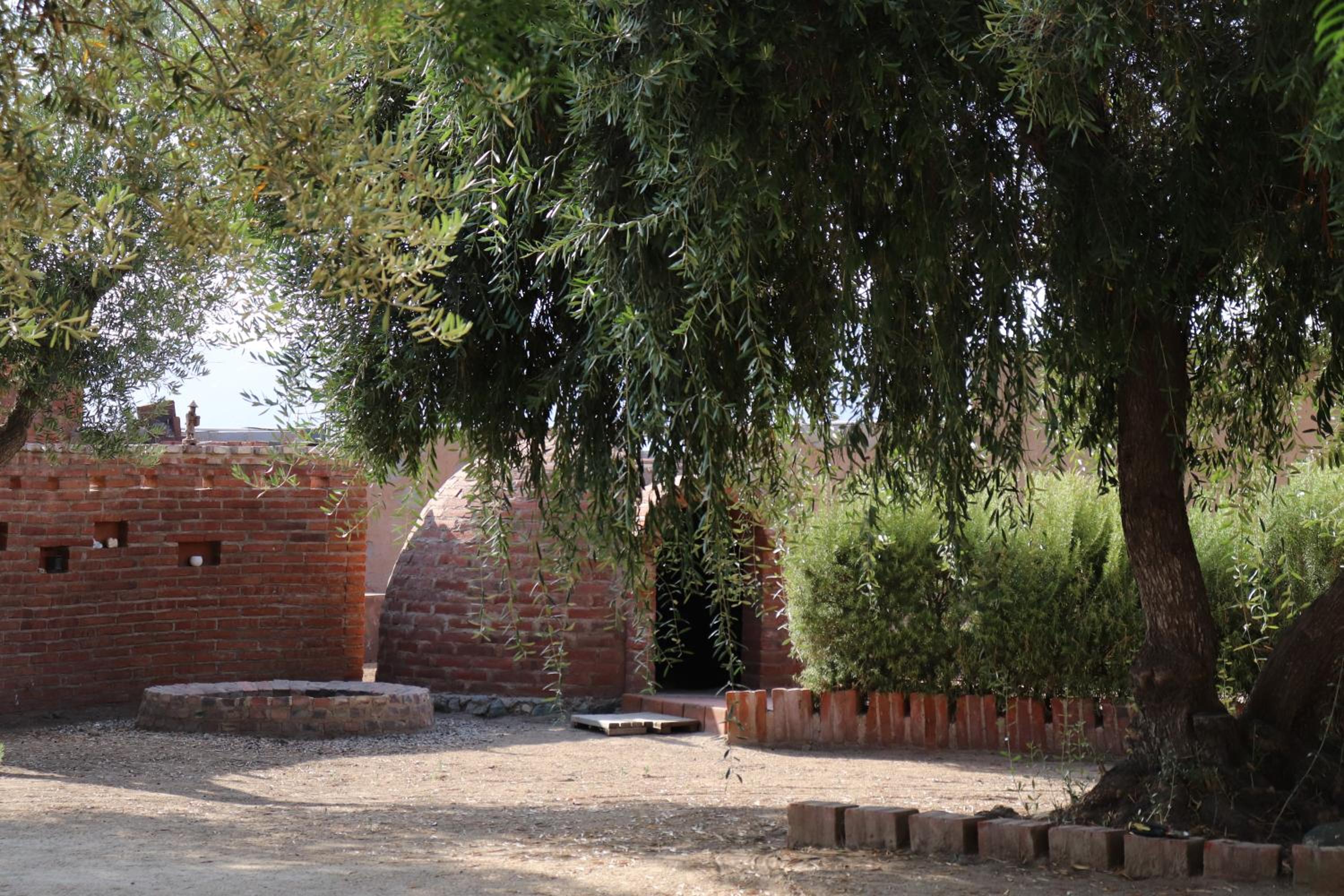 Photo 6
