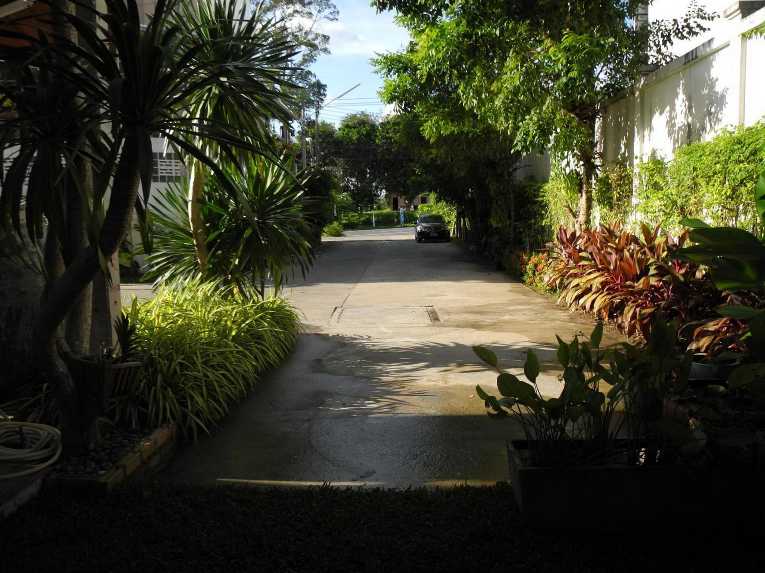 Green House Phuket