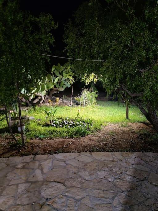 Photo 19