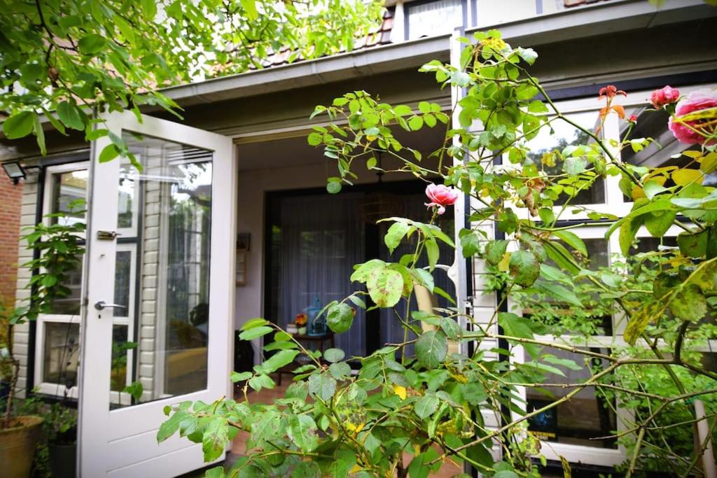Indigena Forest Retreat -Entire 6 persons Family home near Efteling and Dunes view 5
