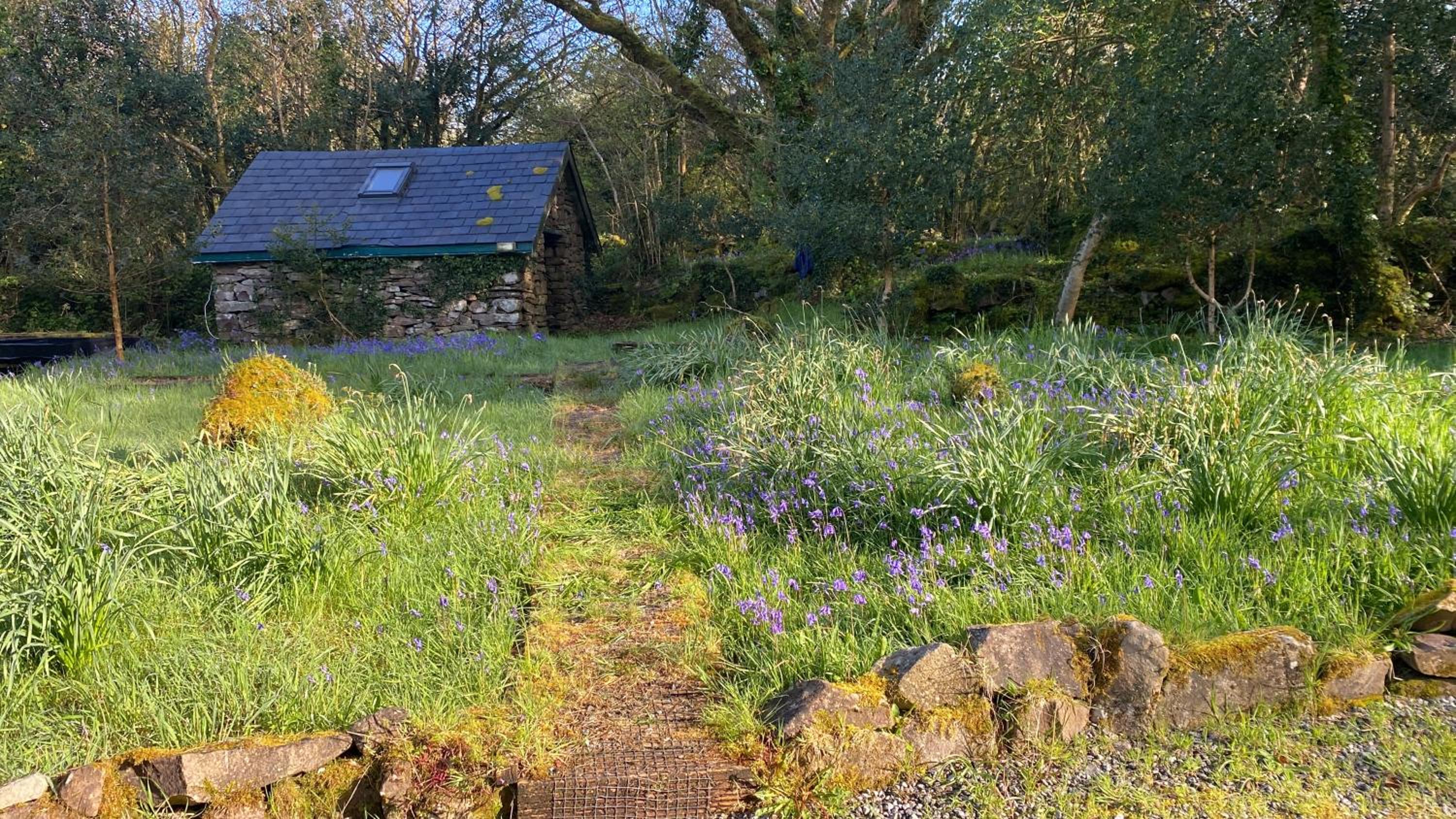 Sligo Forest Retreat