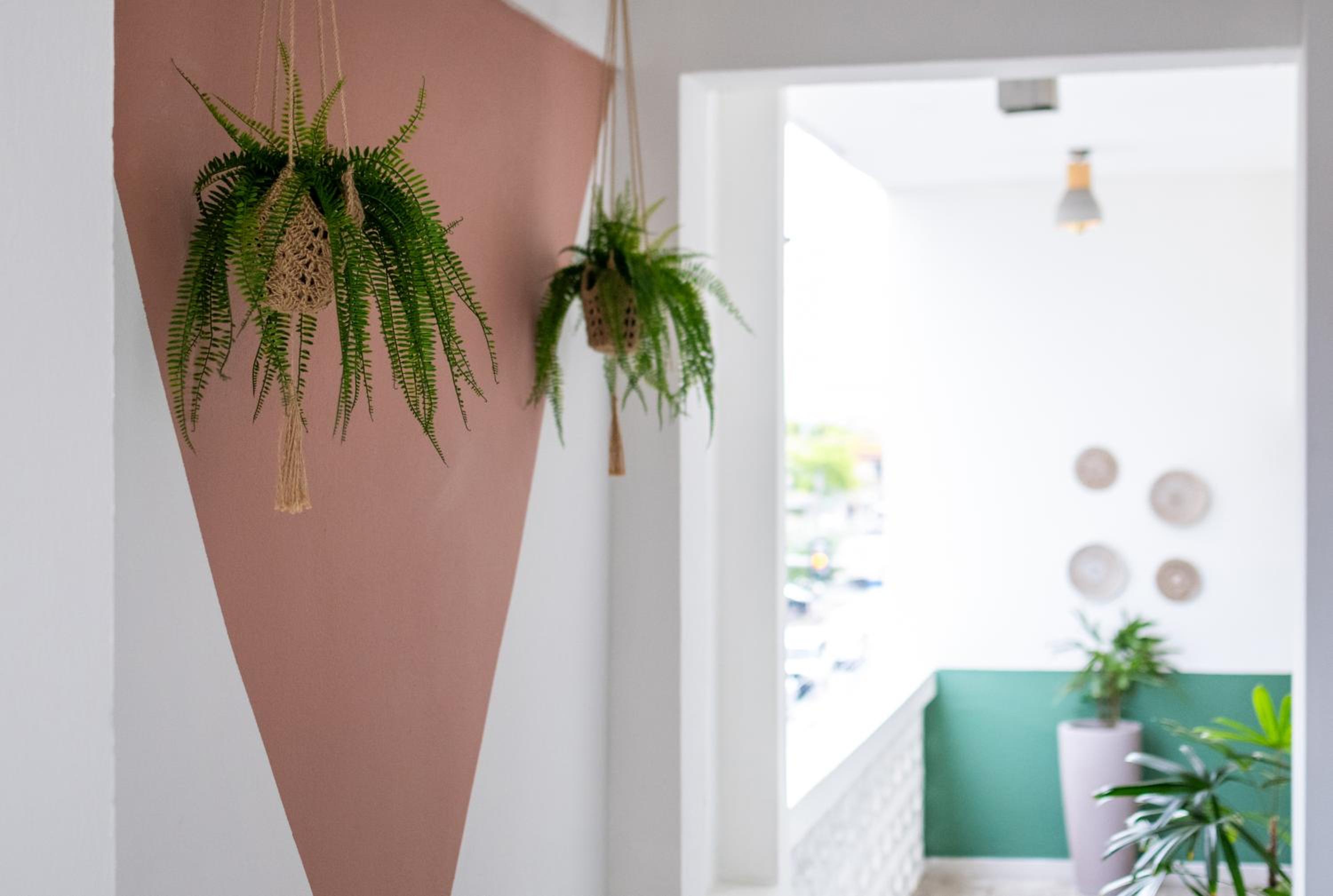 La Mona Loiza Apartments Complex by Stay with Bear - Property Image 16