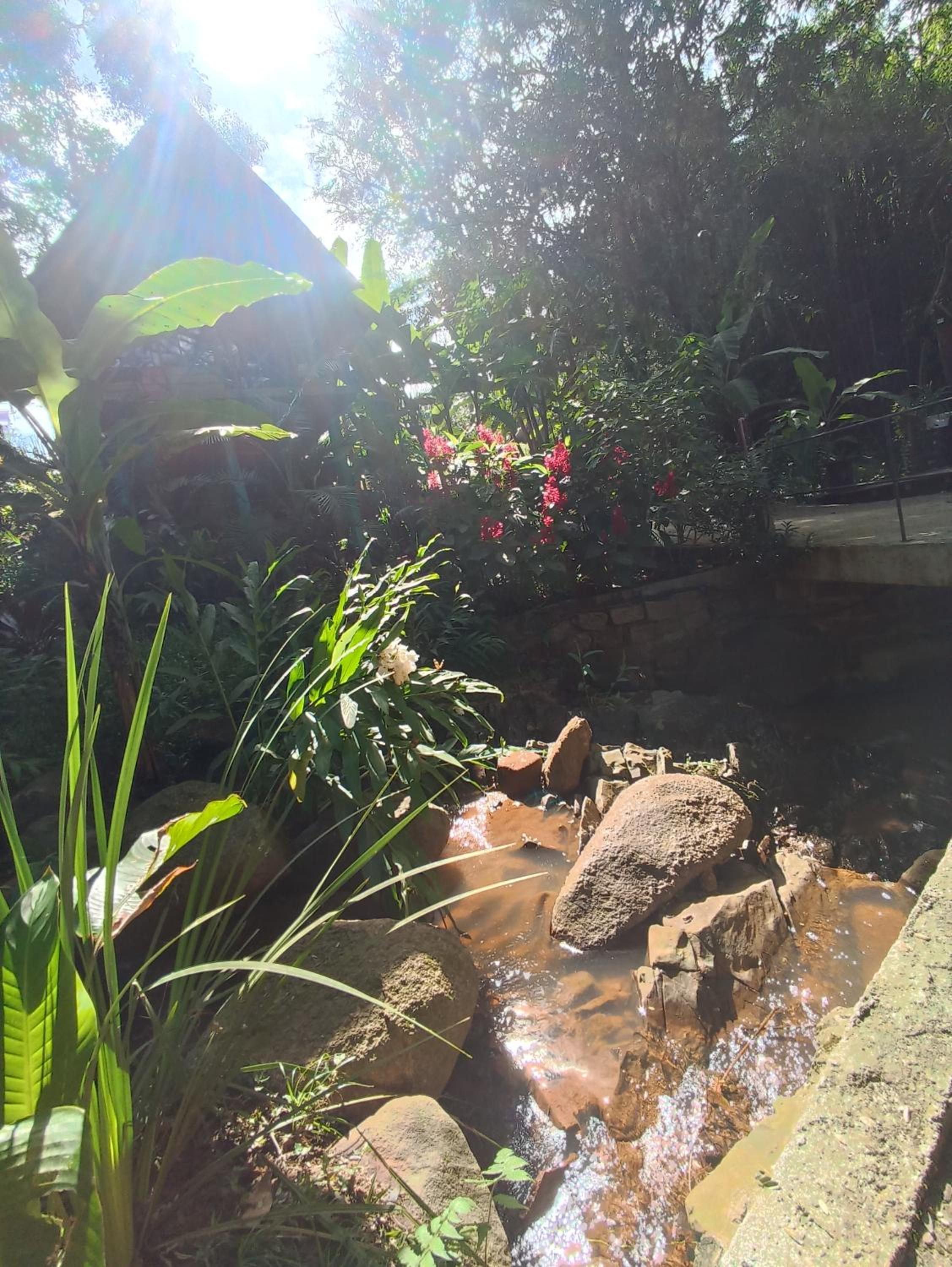 Cabana com Cachoeira Privativa