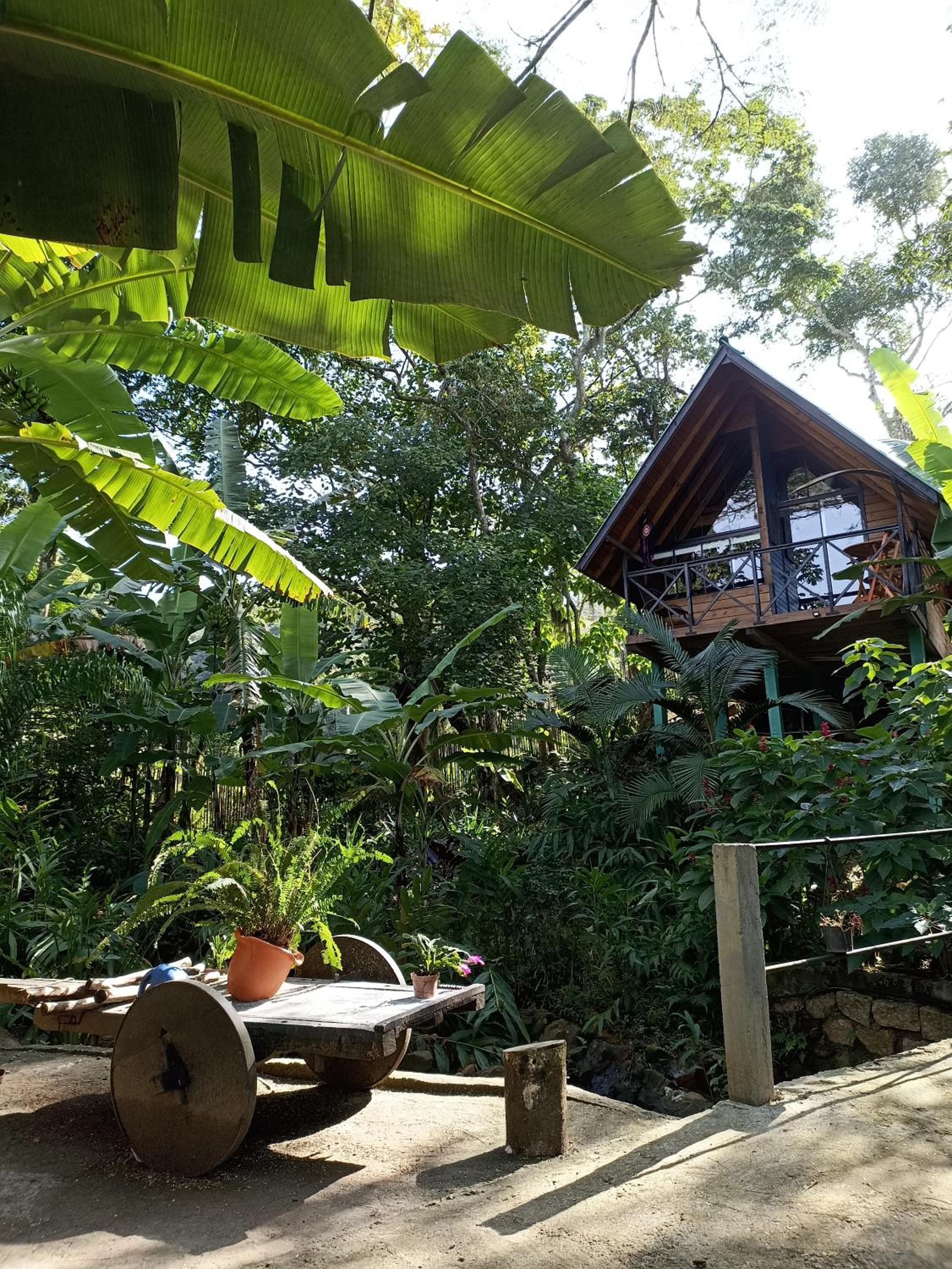 Cabana com Cachoeira Privativa